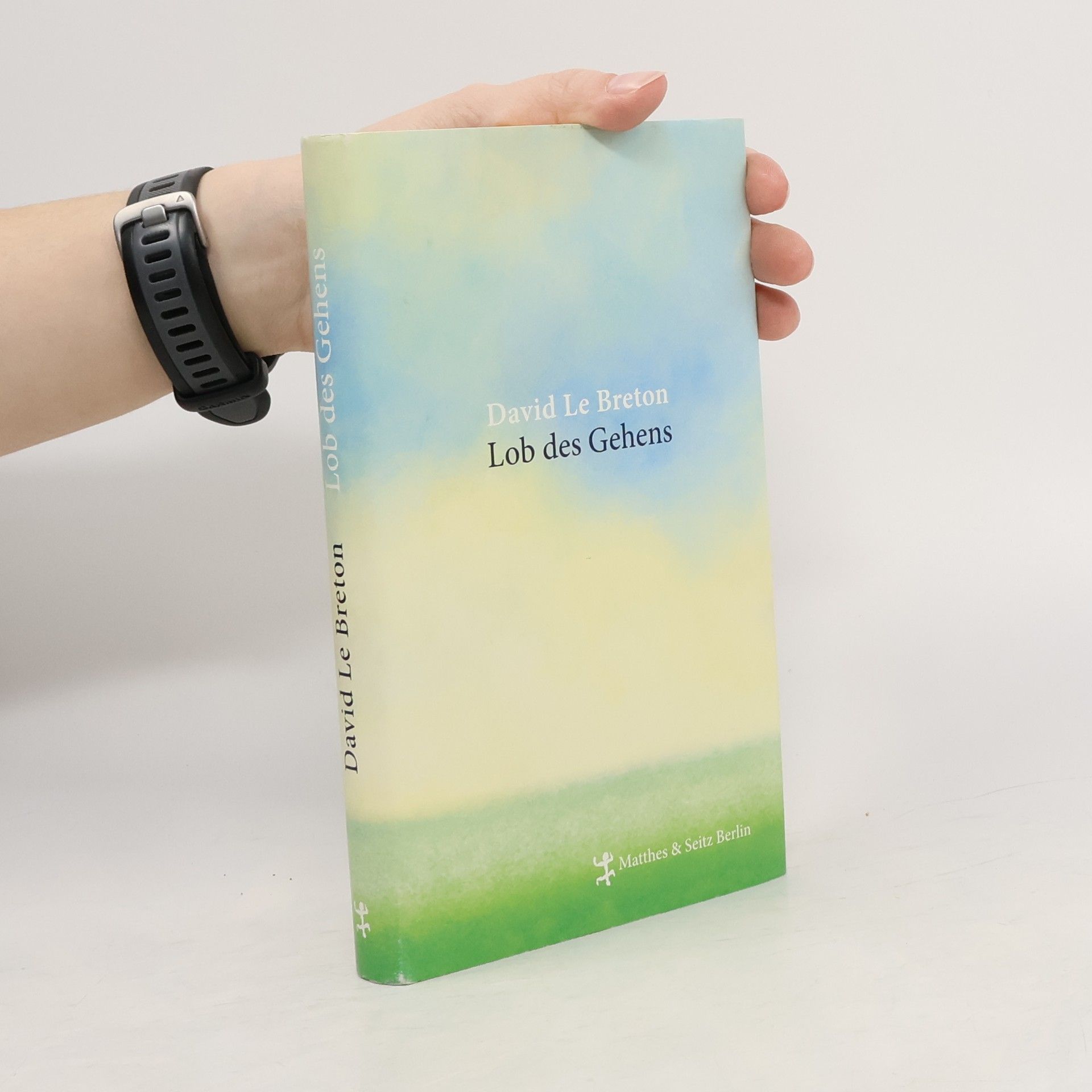 David le Breton Lob des Gehens