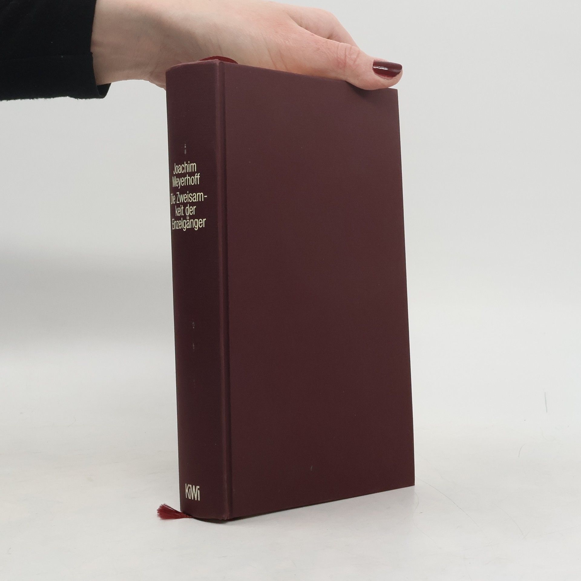Joachim Meyerhoff Die Zweisamkeit der Einzelgänger