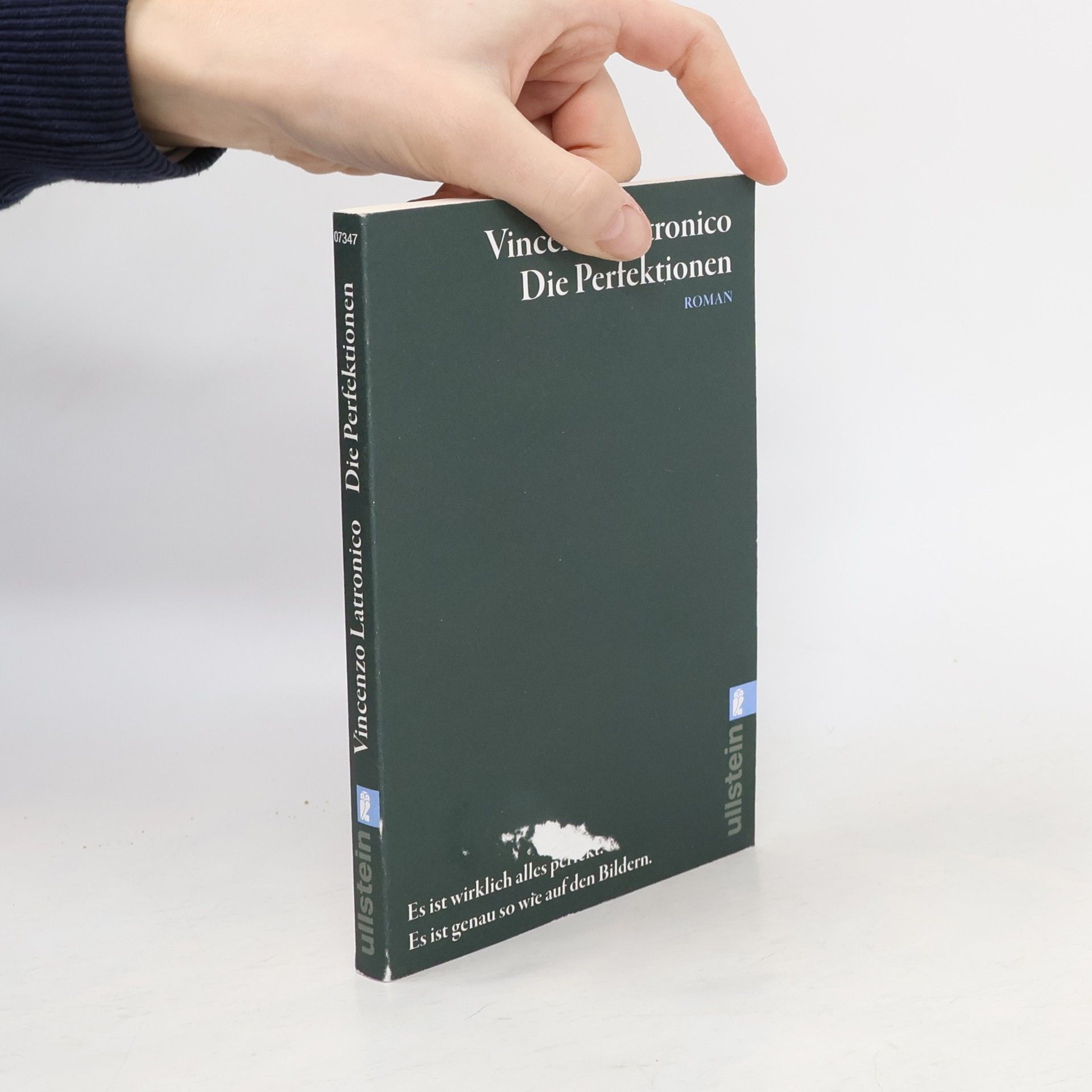 Vincenzo Latronico Die Perfektionen