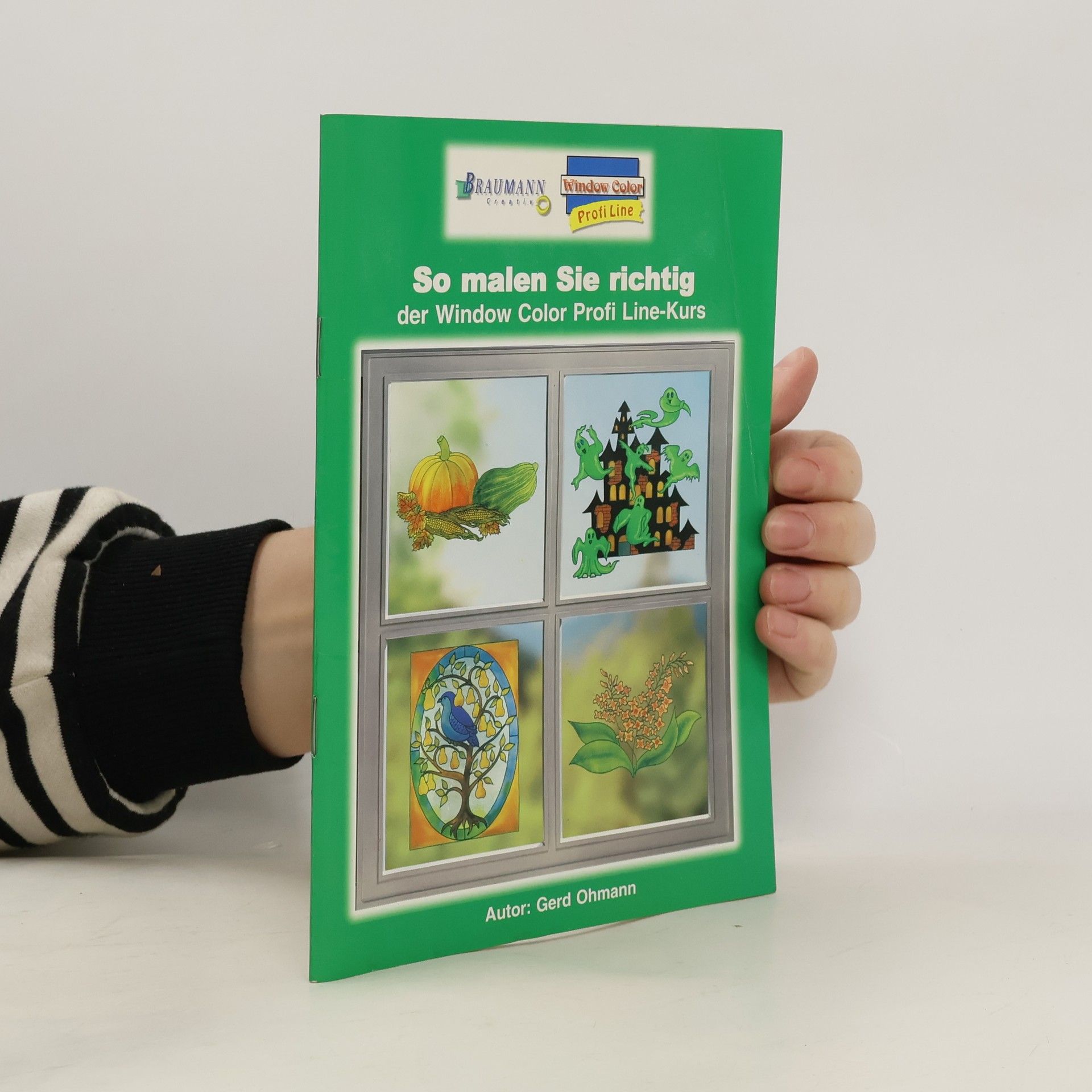 So malen Sie richtig der Window Color Profi Line-Kurs