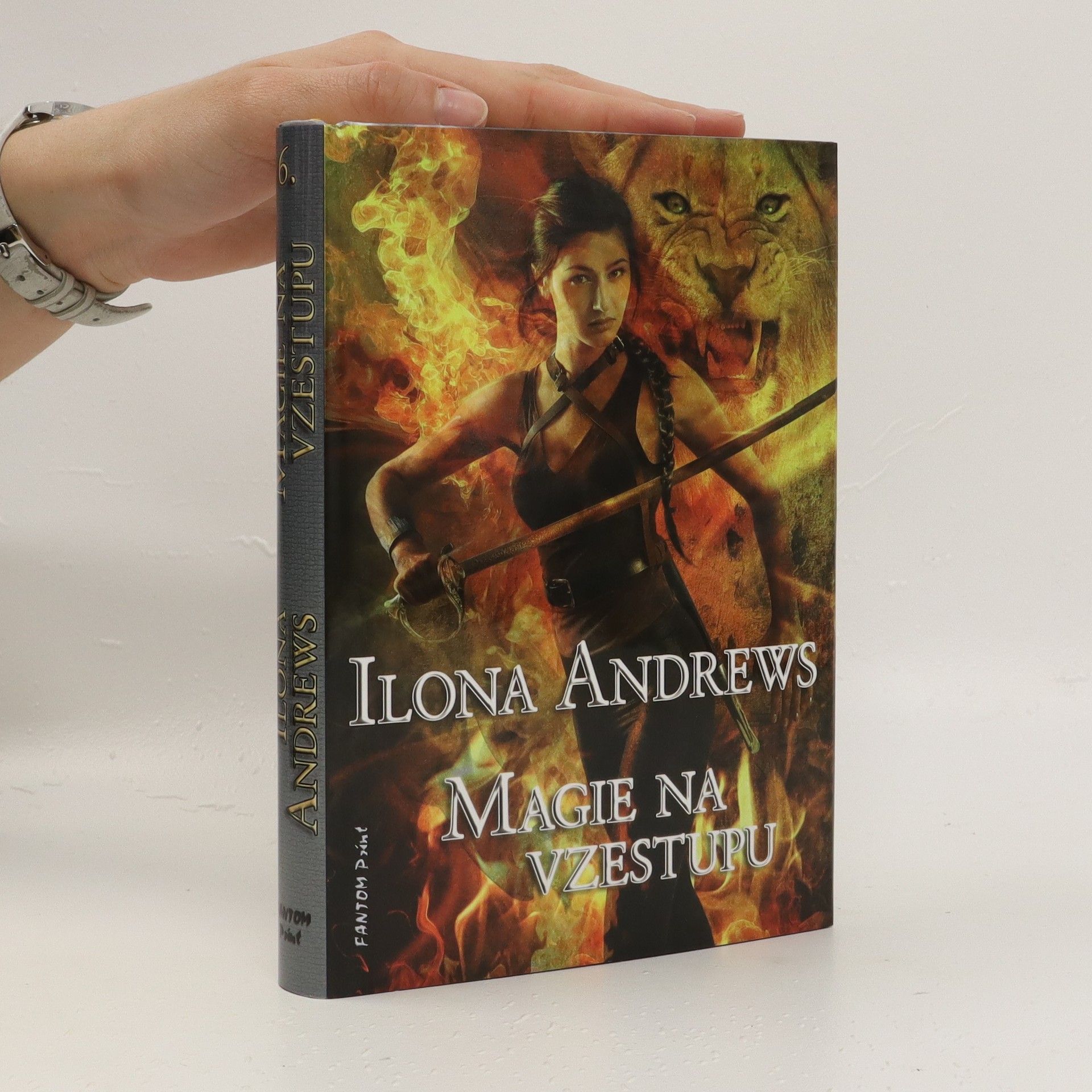 Ilona Andrews Magie na vzestupu