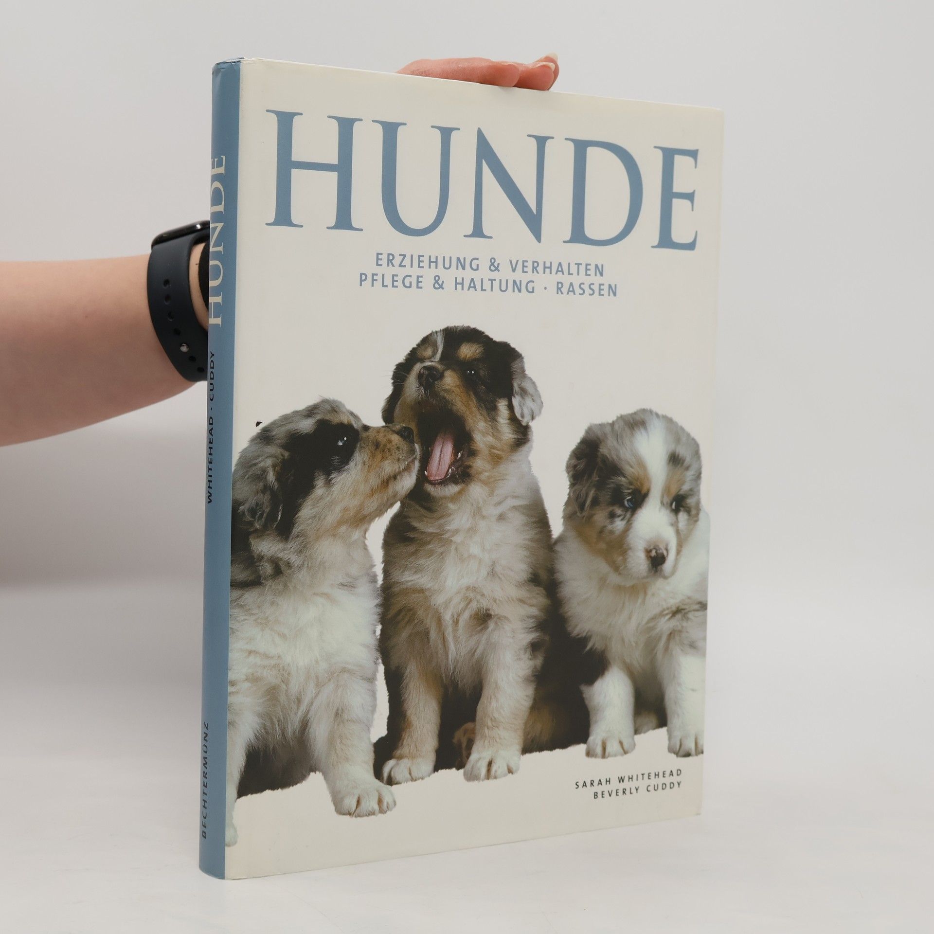 Sarah Whitehead Hunde