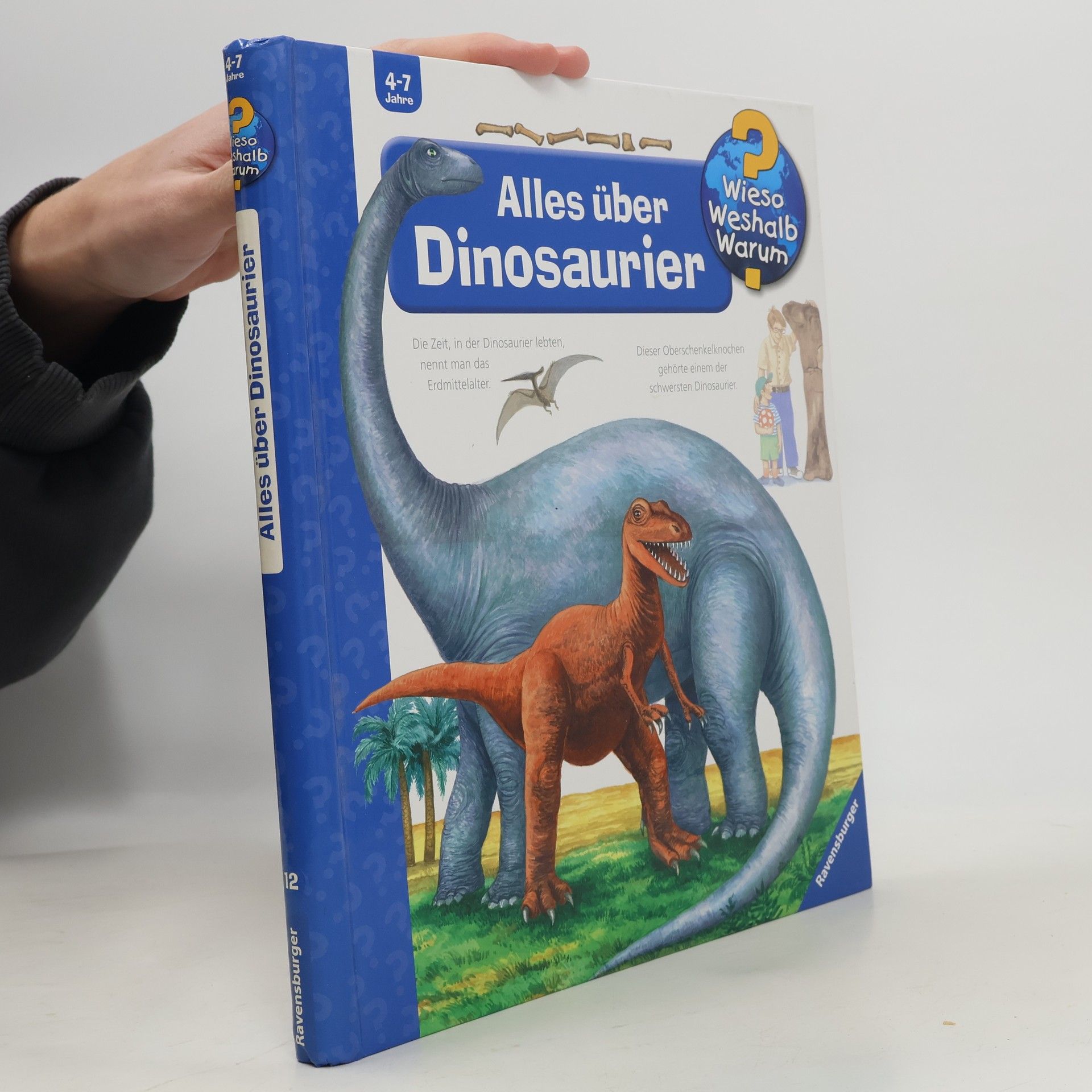 AA.VV. Alles über Dinosaurier