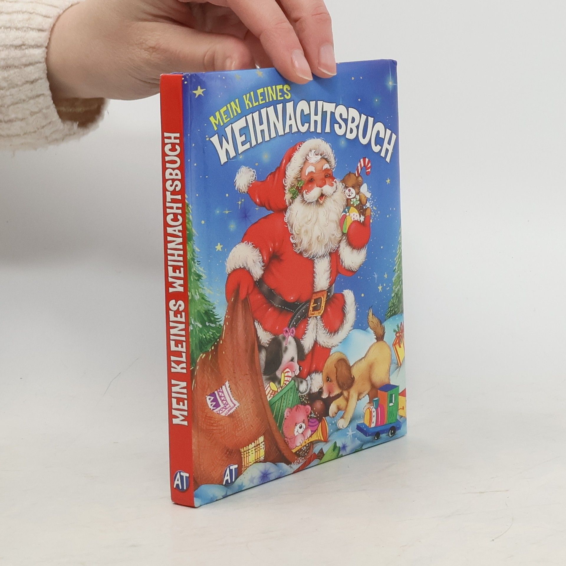 Auteurscollectief Mein kleines Weihnachtsbuch