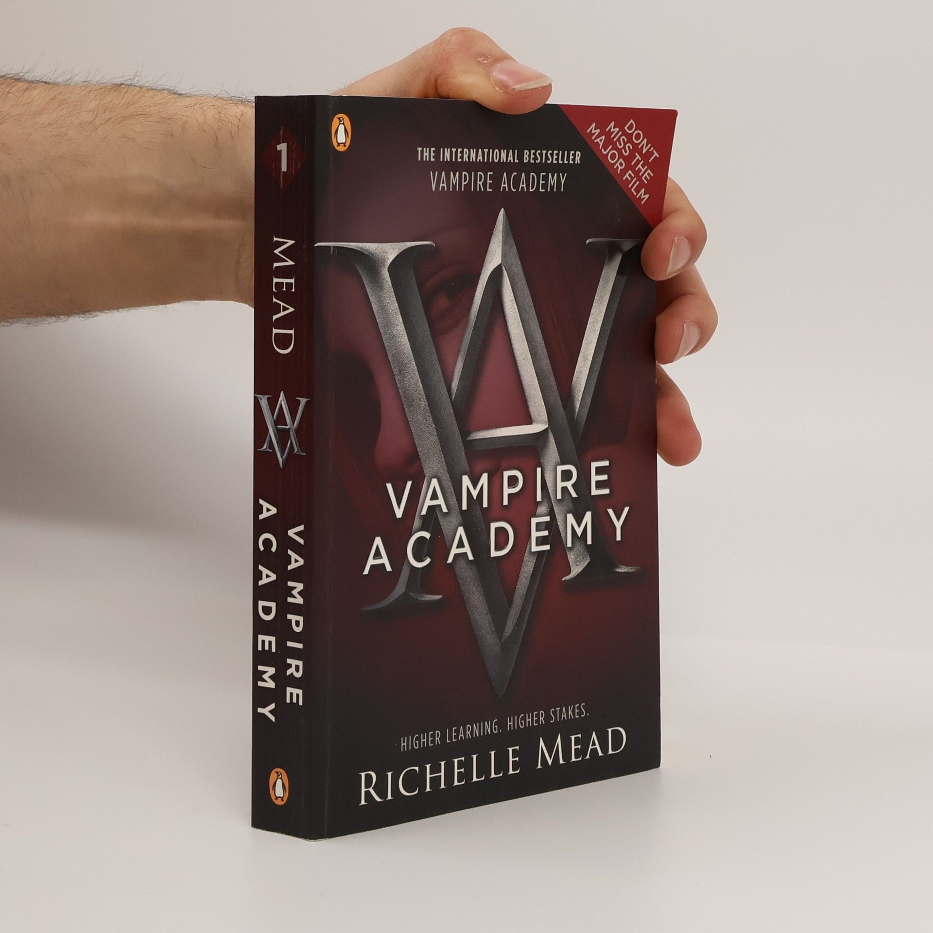 Richelle Mead Vampire academy