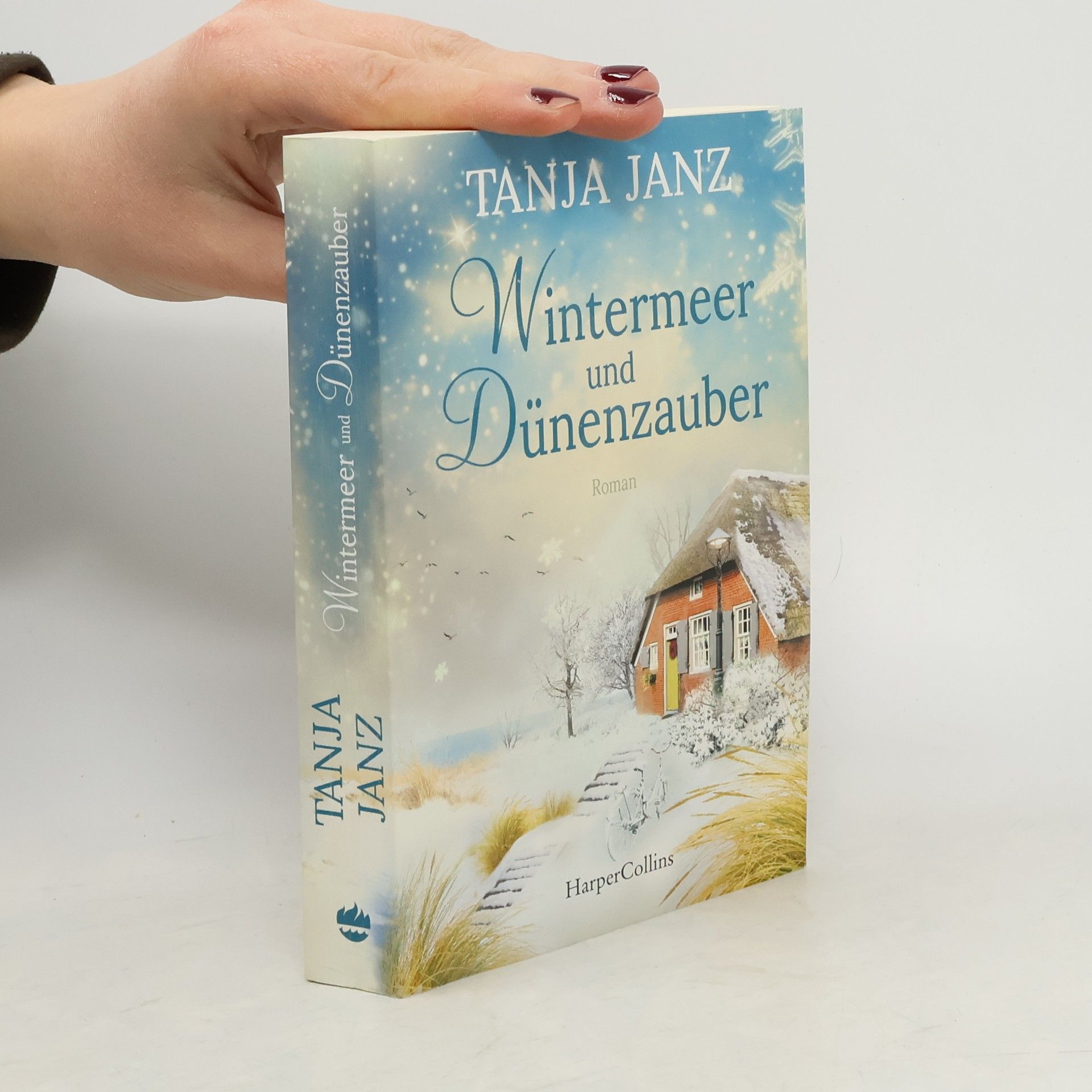 Tanja Janz Wintermeer und Dünenzauber