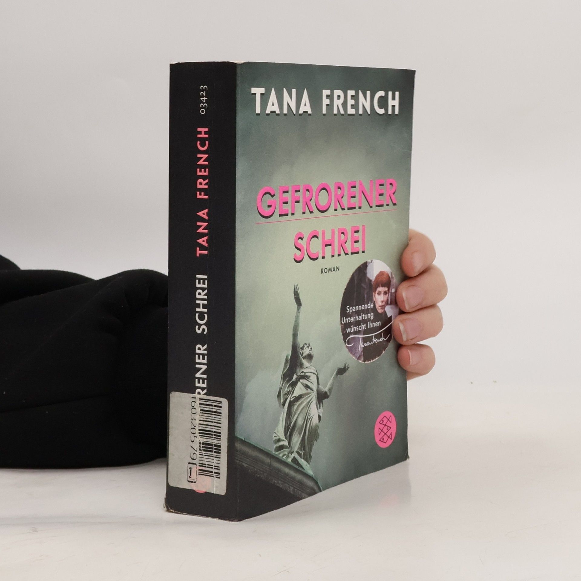 Tana French Gefrorener Schrei