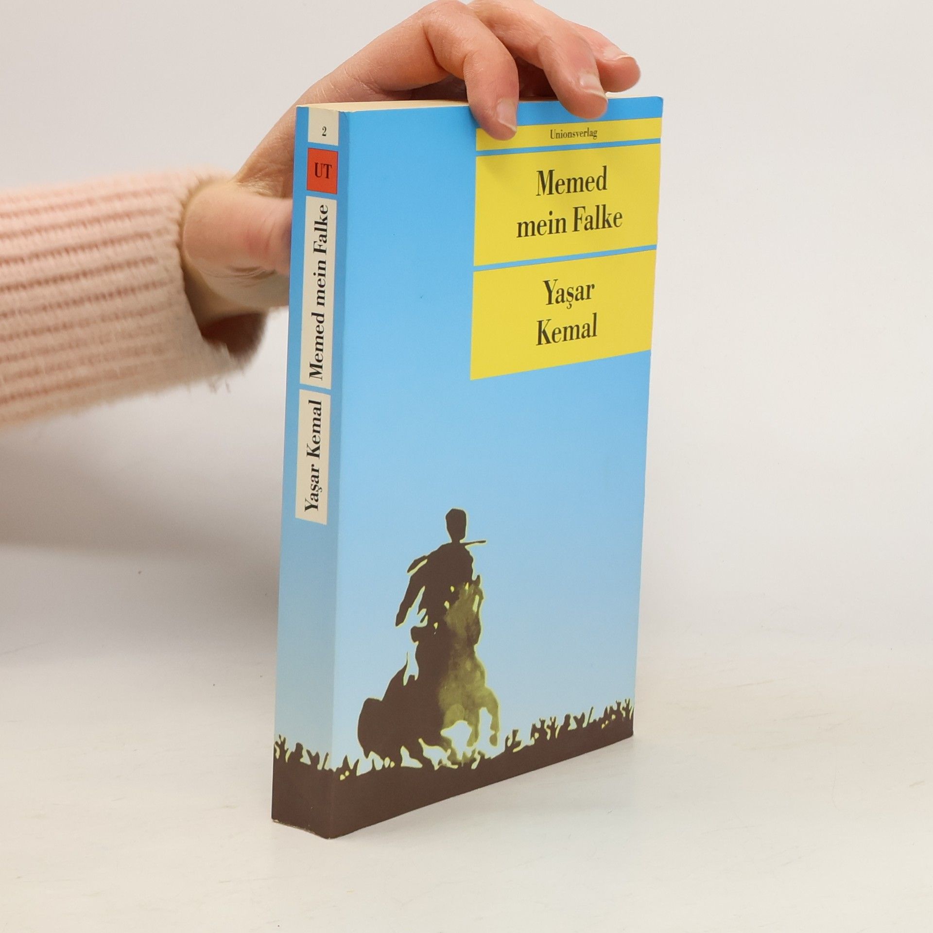 Yaşar Kemal Memed, mein Falke