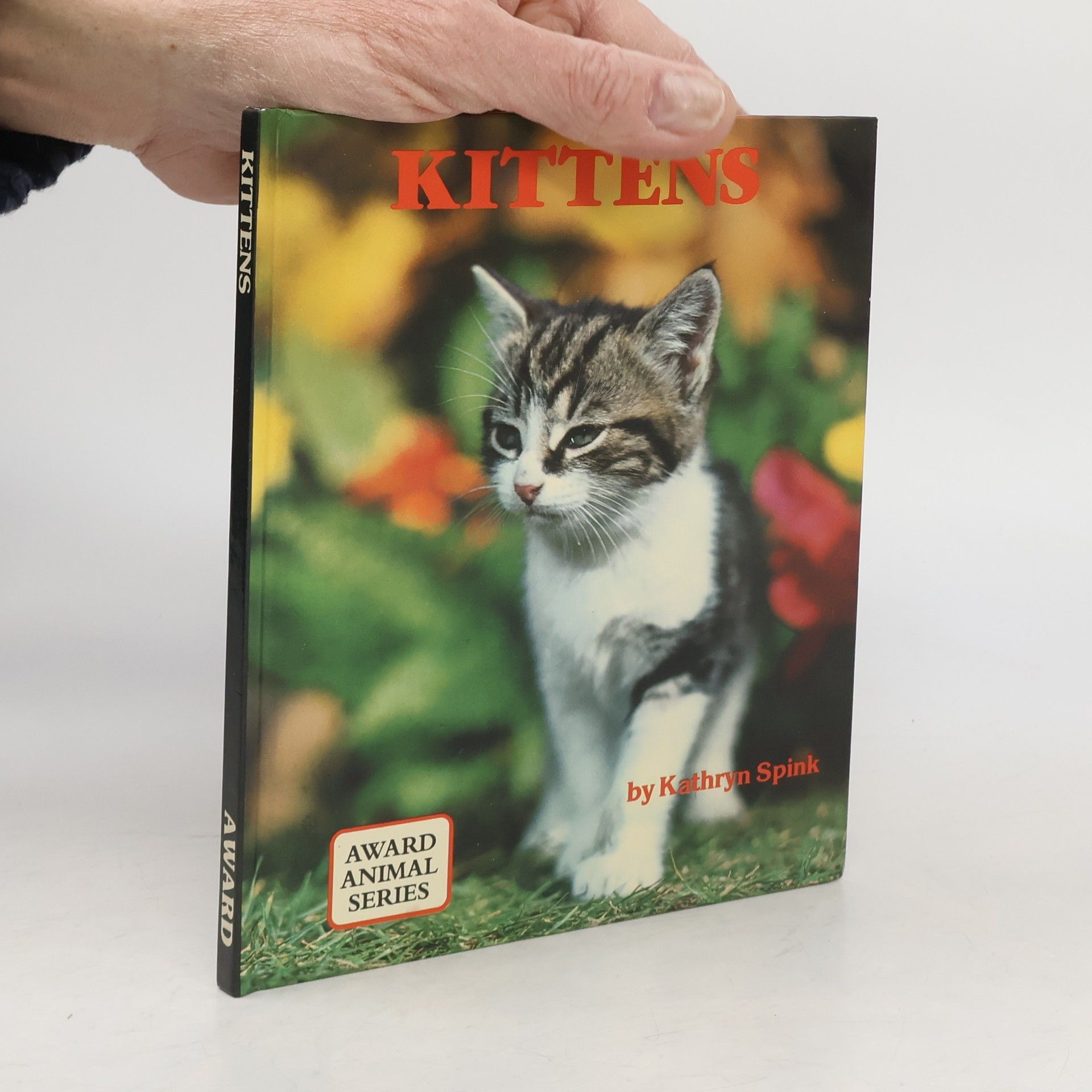 Kathryn Spink Kittens
