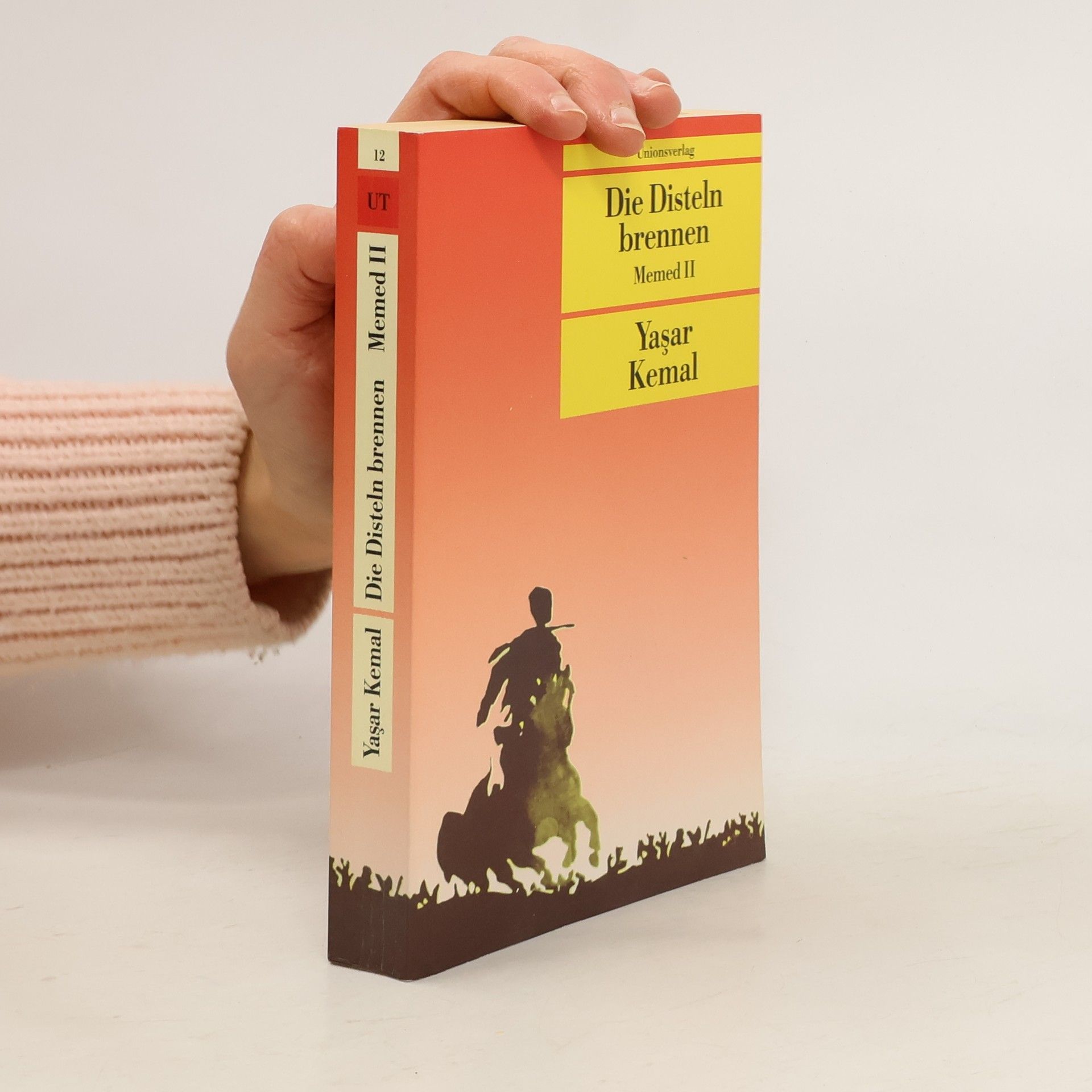 Yaşar Kemal Die Disteln brennen : Memed II