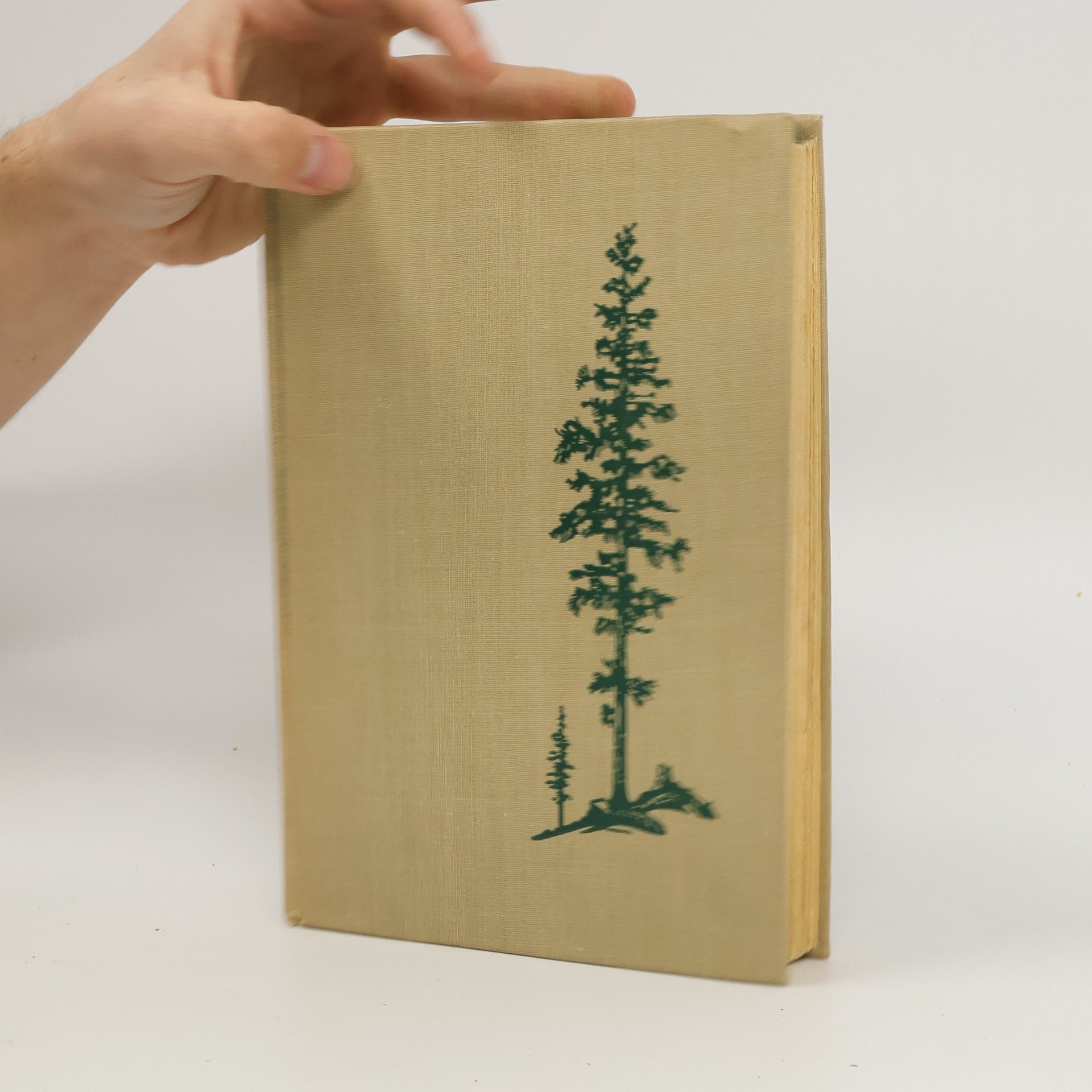 Howard Breslin The Tamarack Tree