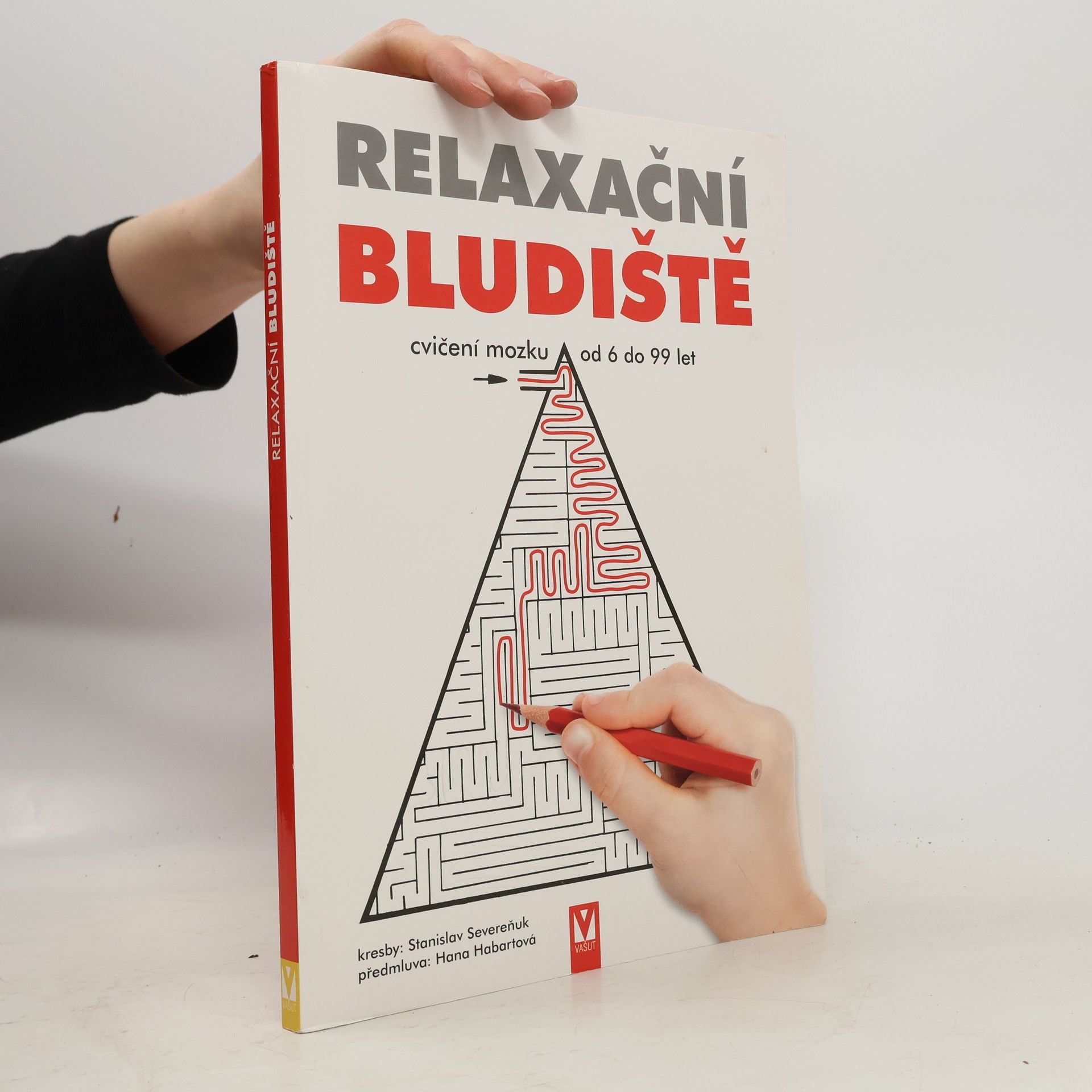Stanislav Severeňuk Relaxační bludiště. Cvičení mozku od 6 do 99 let