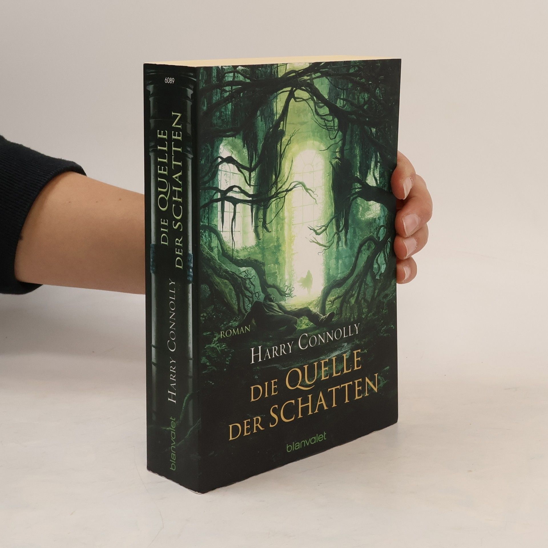 Die Quelle der Schatten