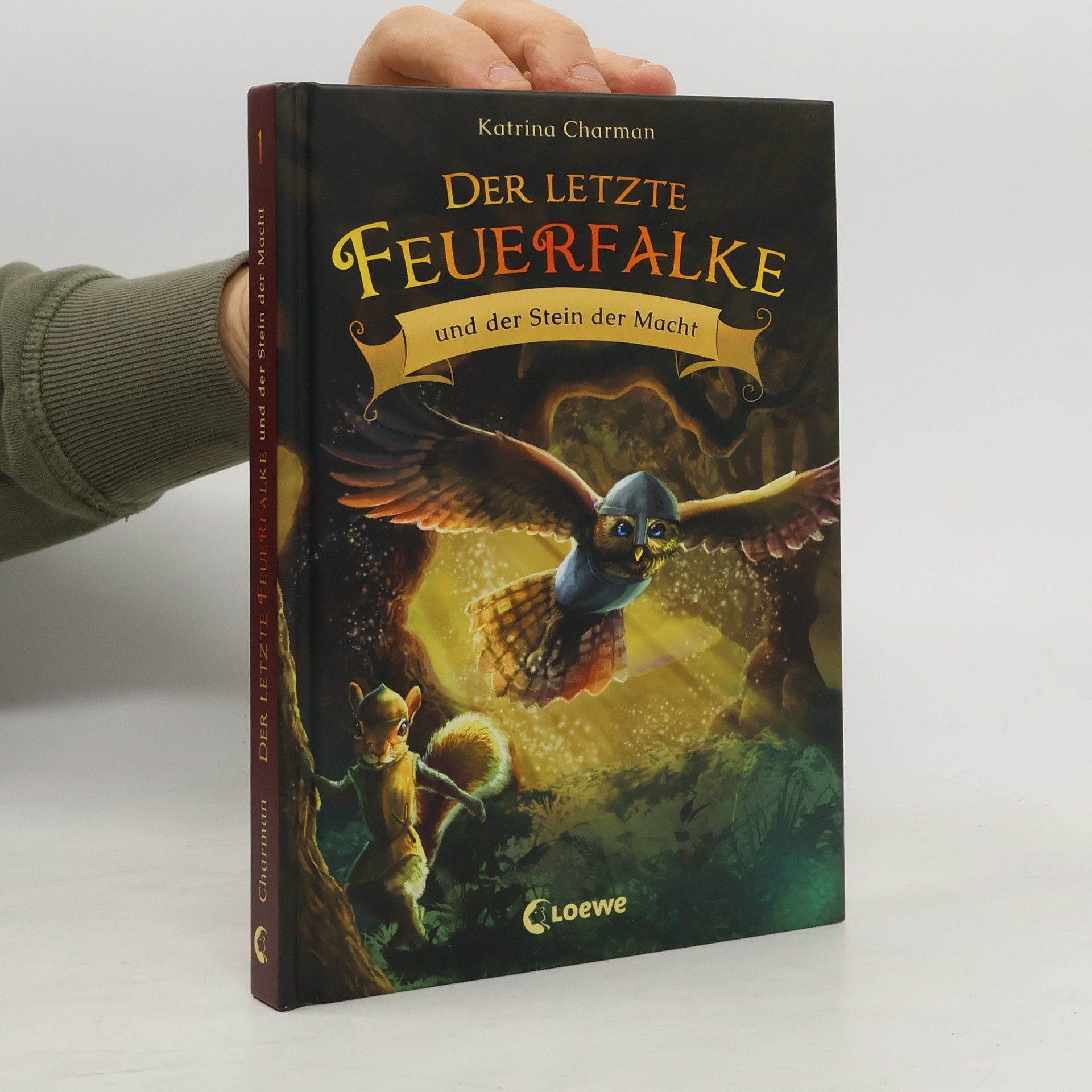 Der letzte Feuerfalke und der Stein der Macht