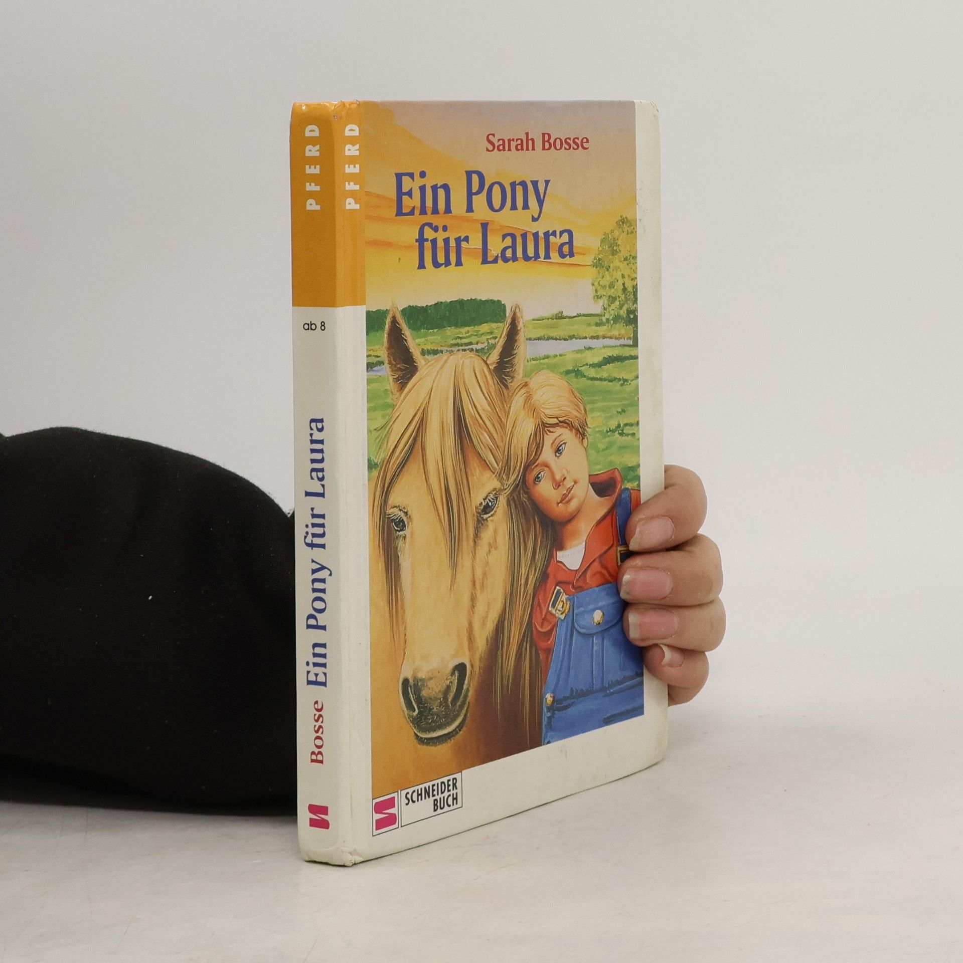 Sarah Bosse Ein Pony für Laura