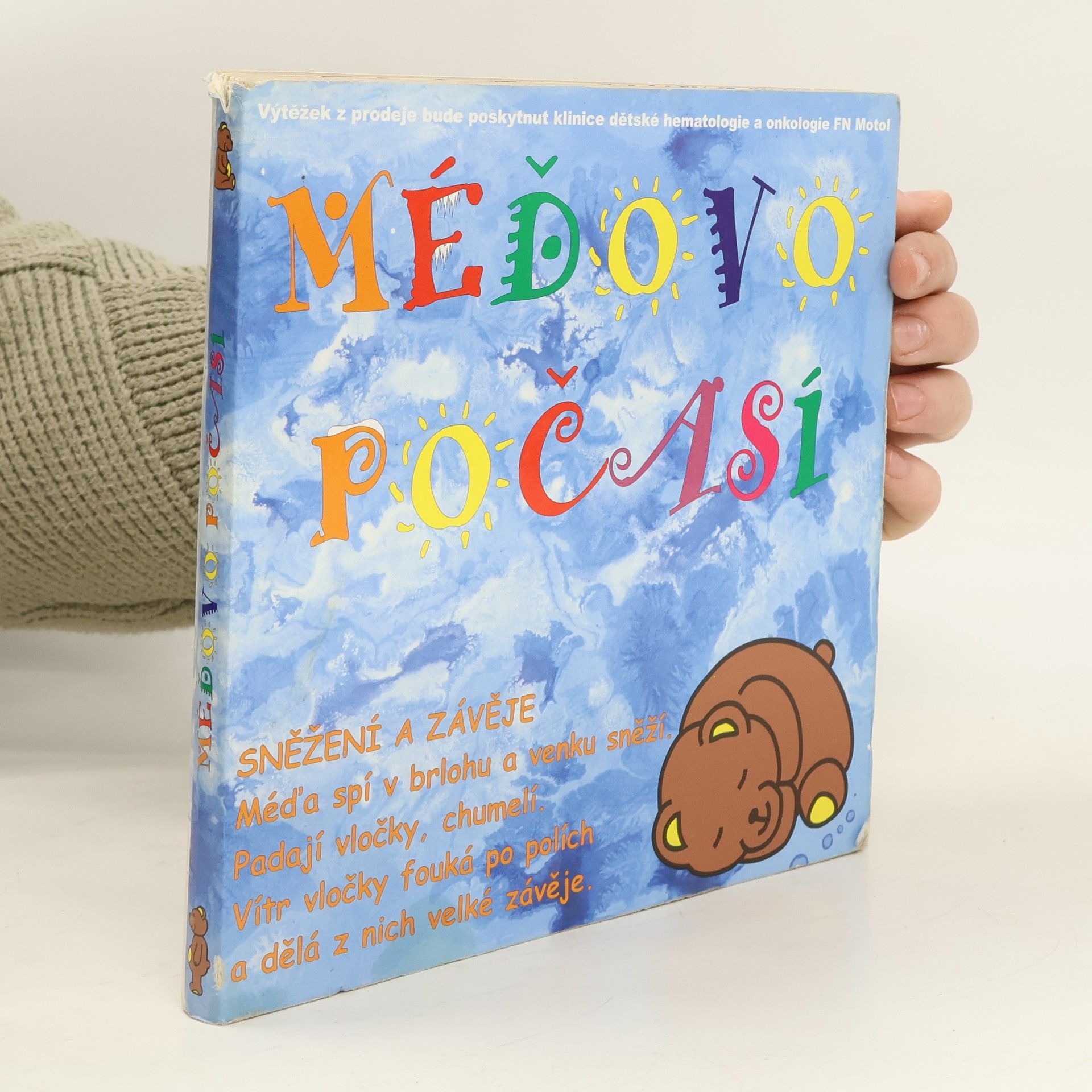 Autorenkollektiv Méďovo počasí