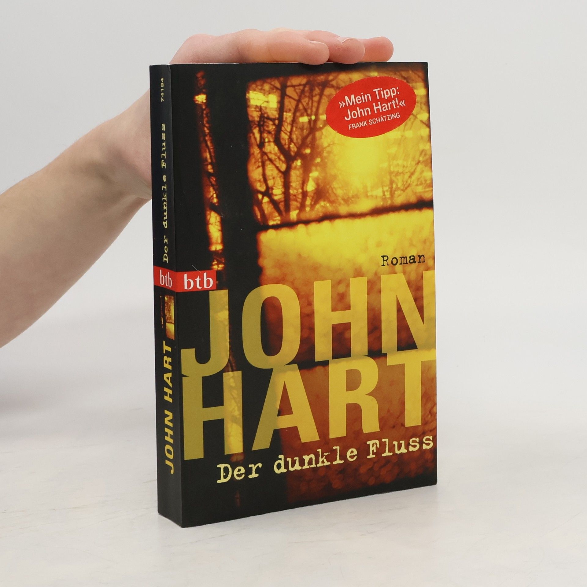 John Hart Der dunkle Fluss