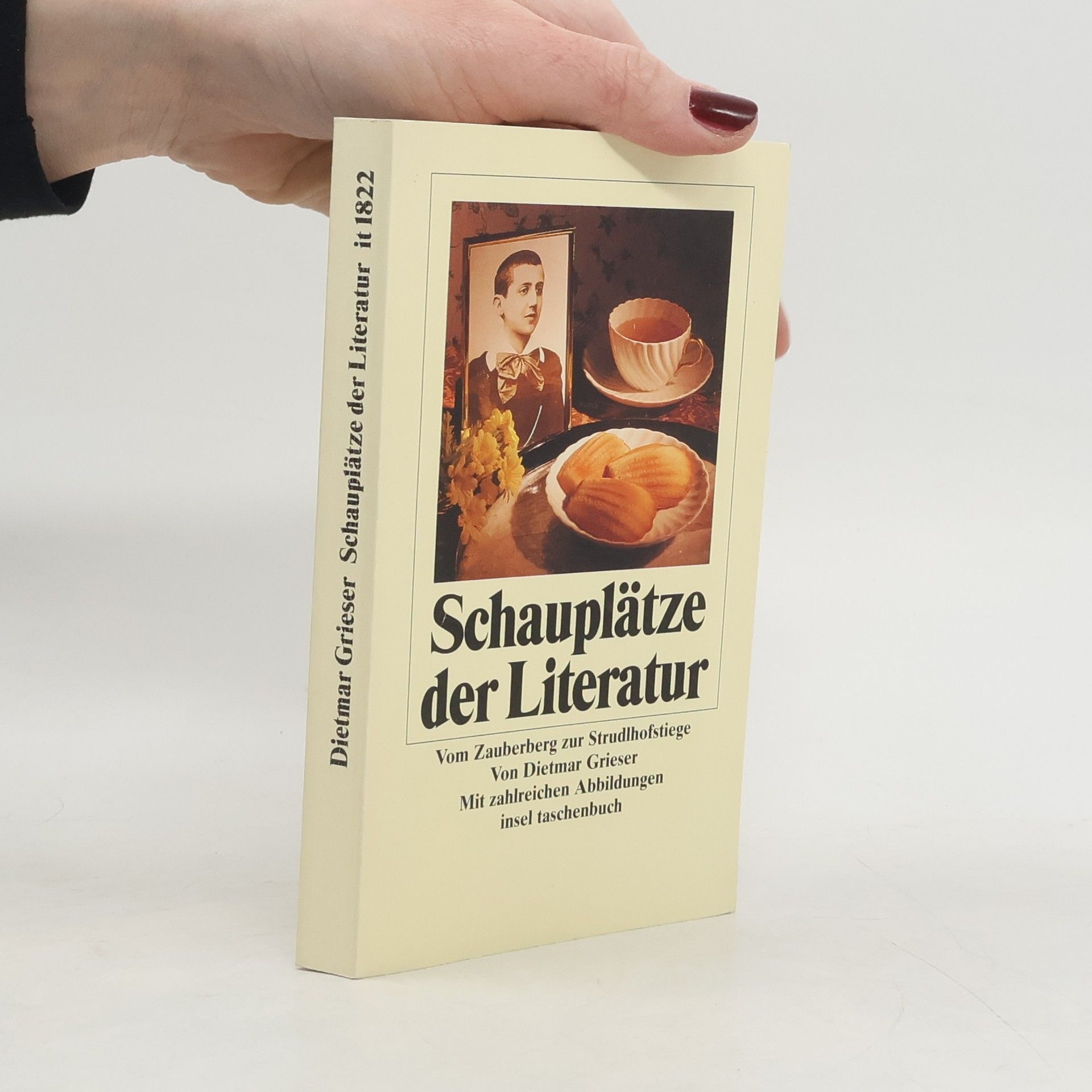 Schauplätze der Literatur : vom Zauberberg zur Strudlhofstiege : mit zahlreichen Abbildungen