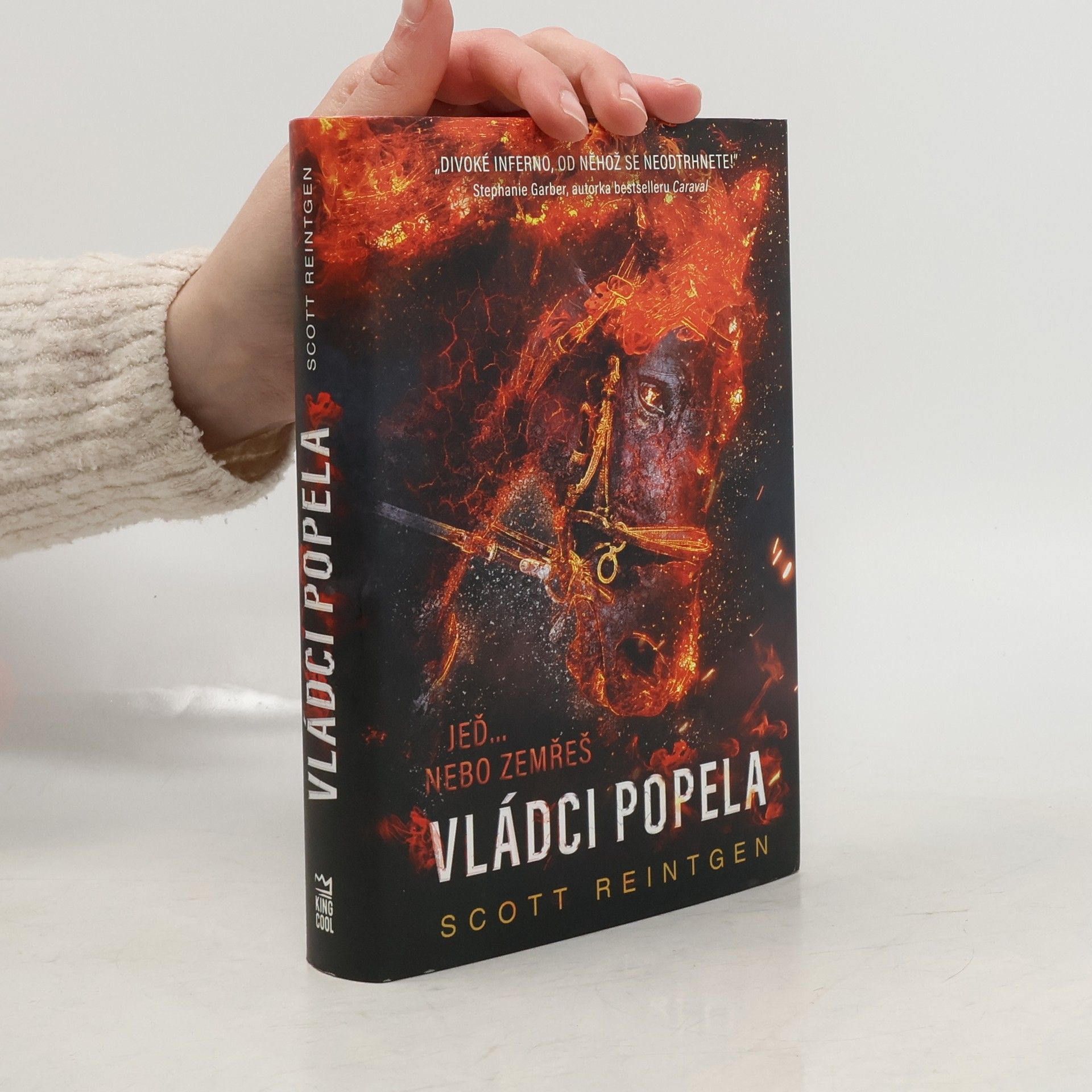 Scott Reintgen Vládci popela