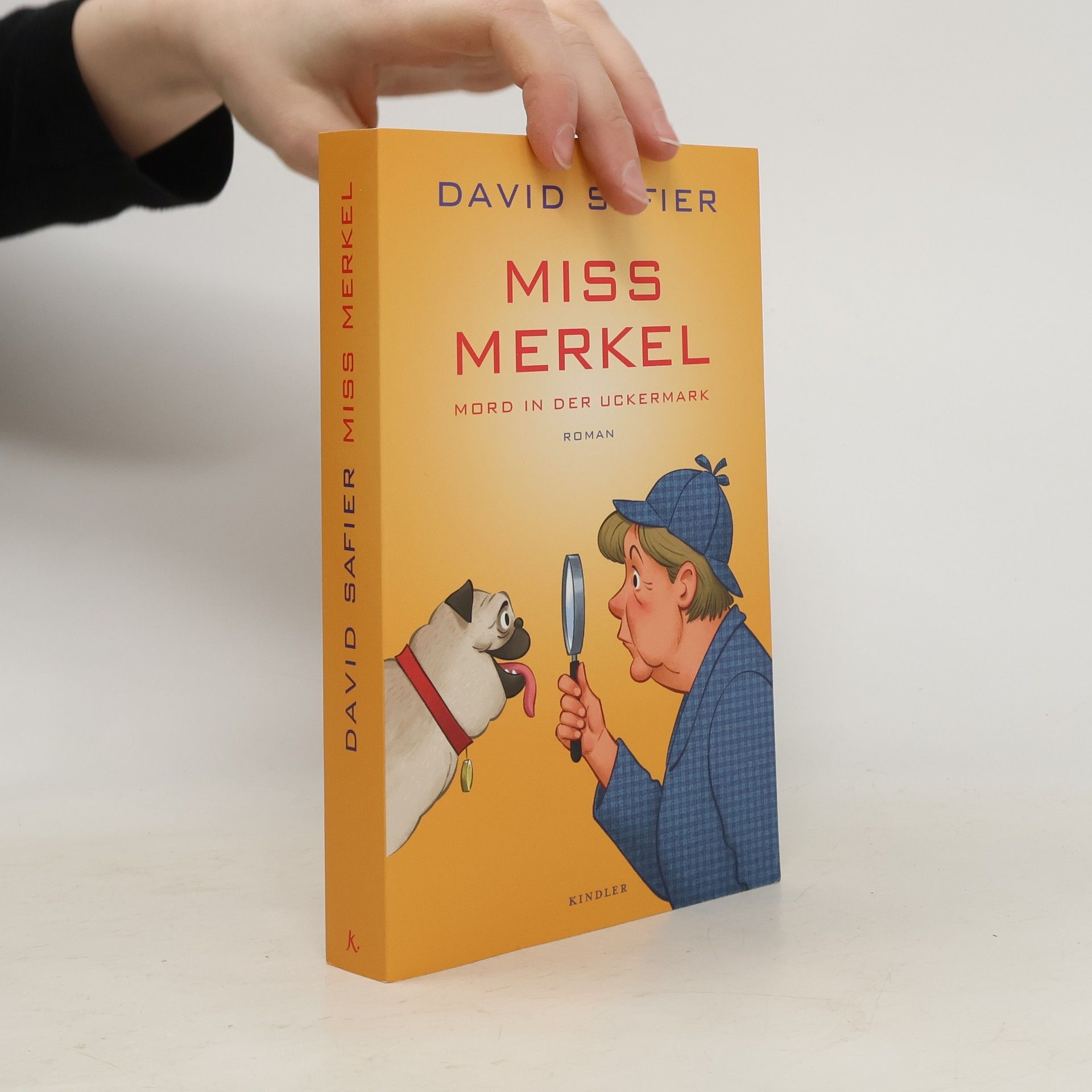David Safier Miss Merkel