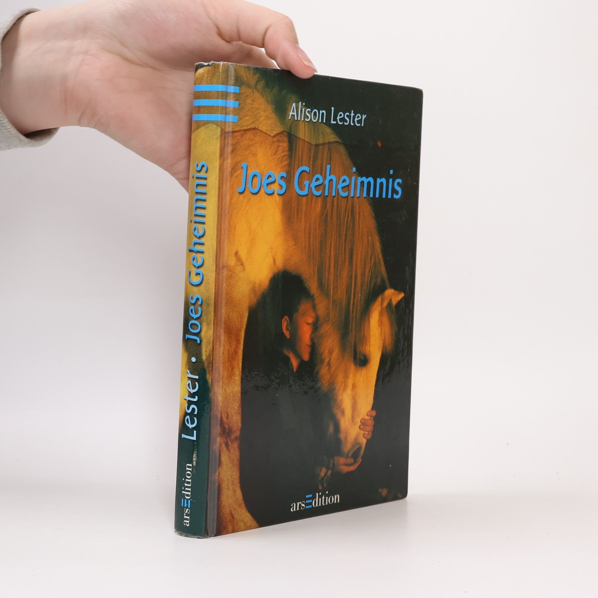 Alison Lester Joes Geheimnis