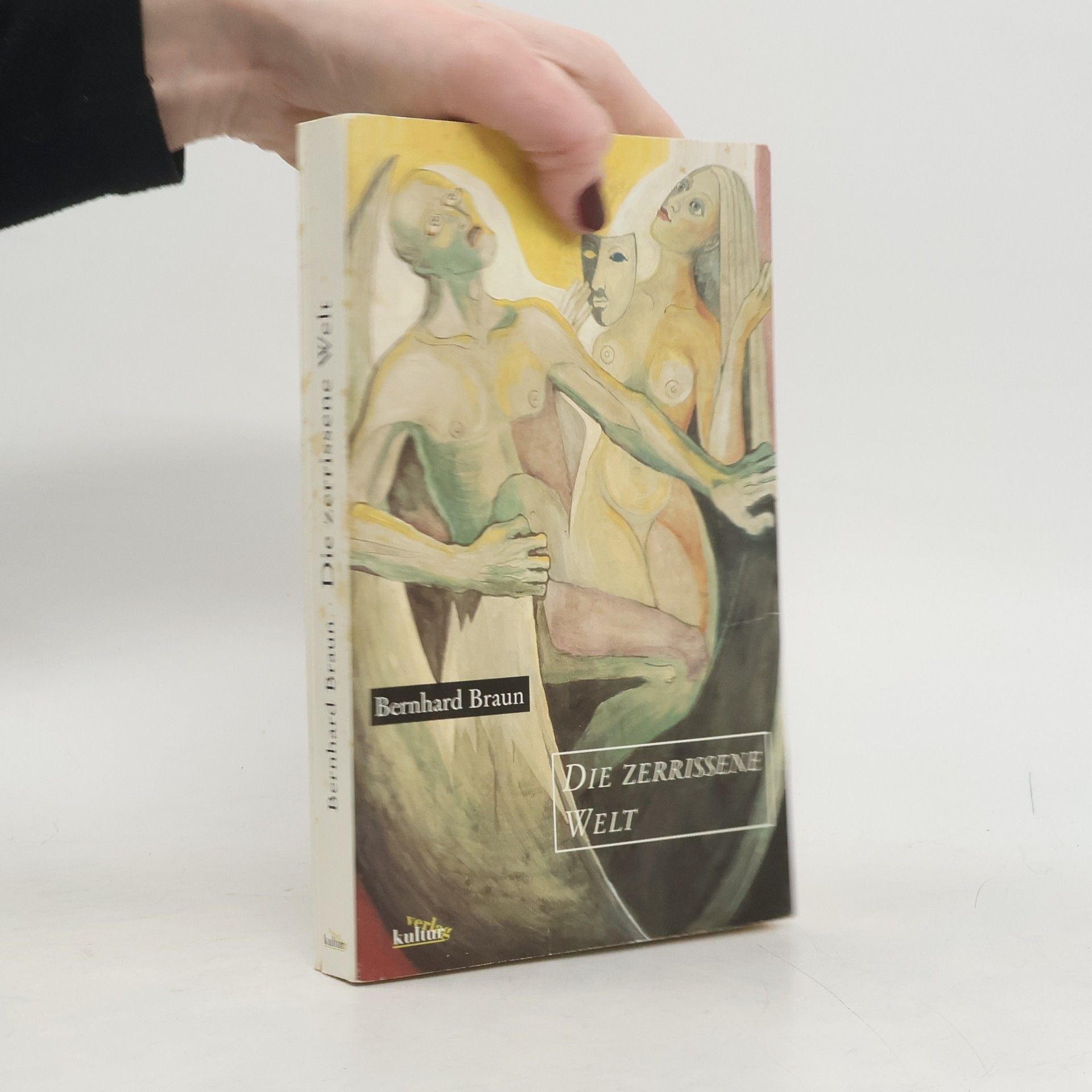 Bernhard Braun Die zerrissene Welt