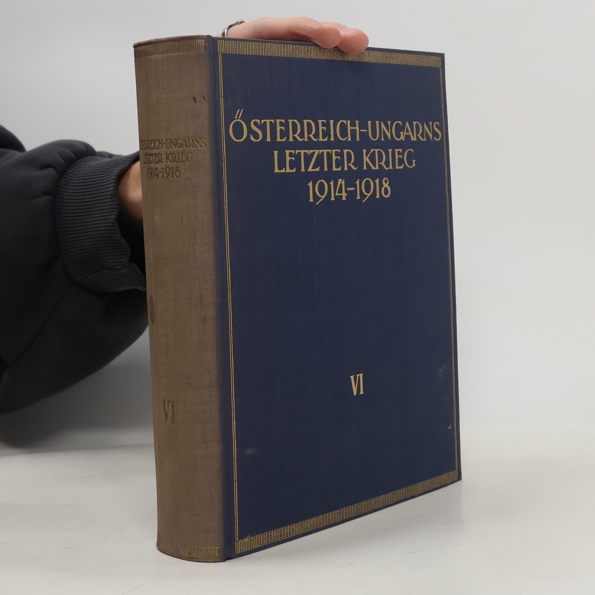Autorenkollektiv Österreich-Ungarns letzter Krieg 1914-1918 VI
