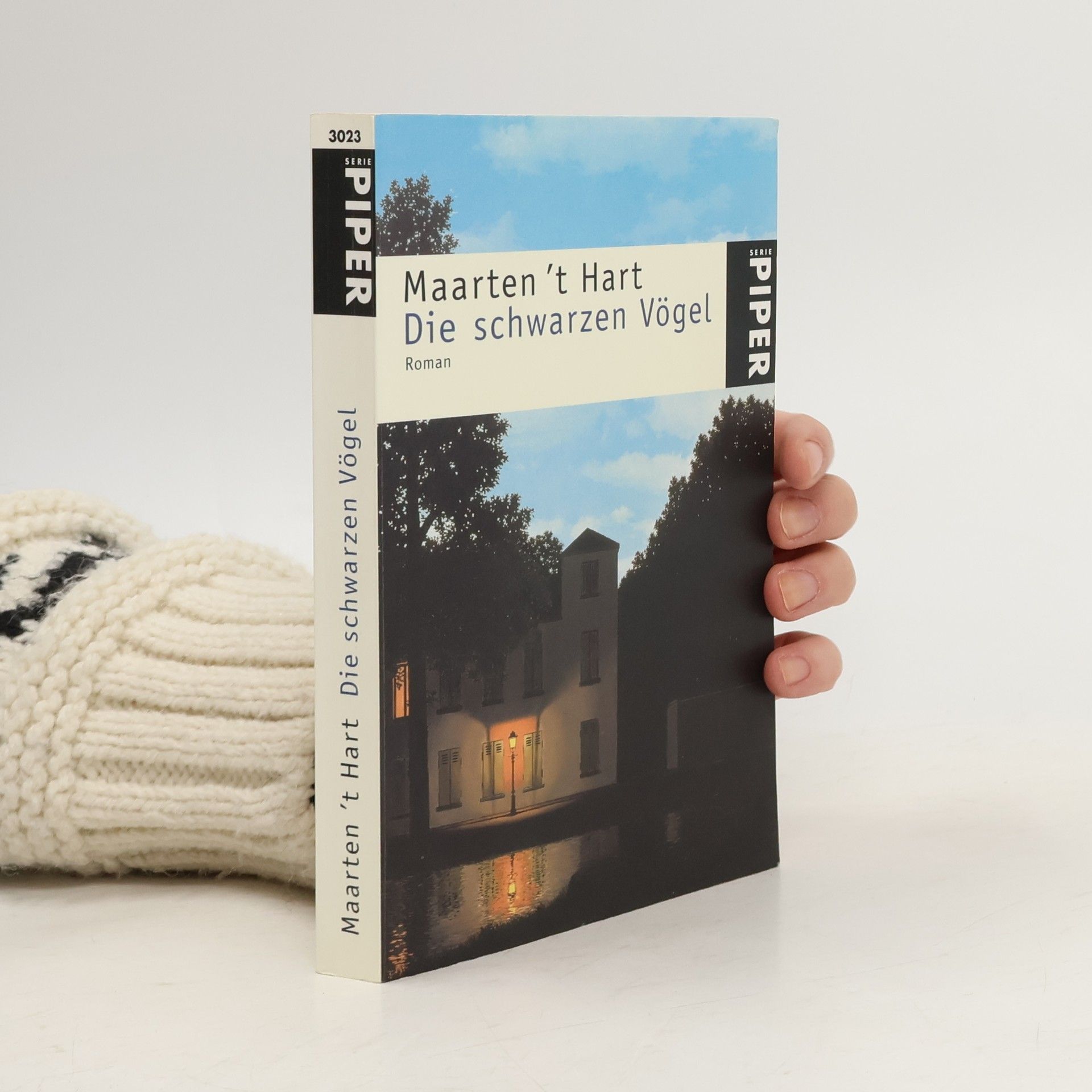 Maarten t. Hart Die schwarzen Vögel