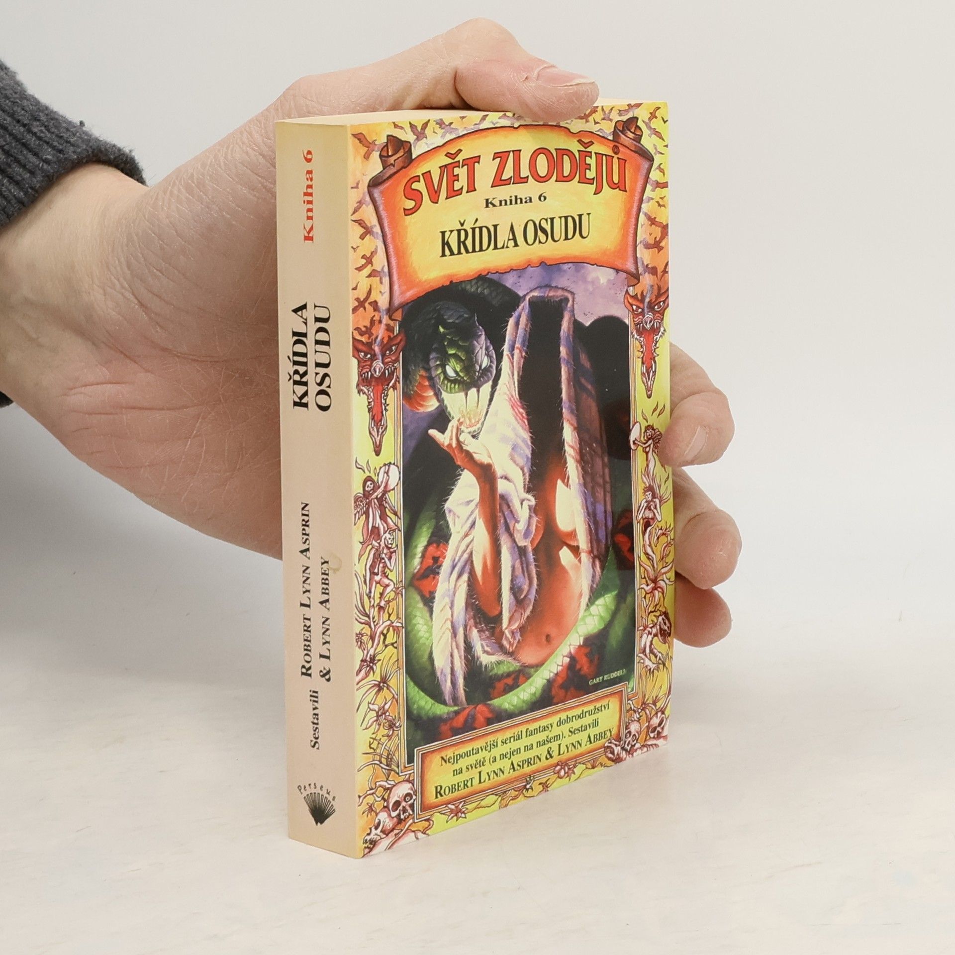 Robert Asprin Svět zlodějů. Kniha šestá, Křídla osudu