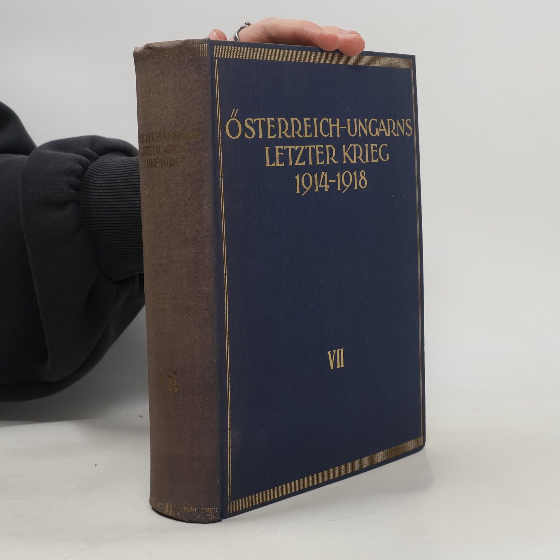 Autorenkollektiv Österreich-Ungarns letzter Krieg VII