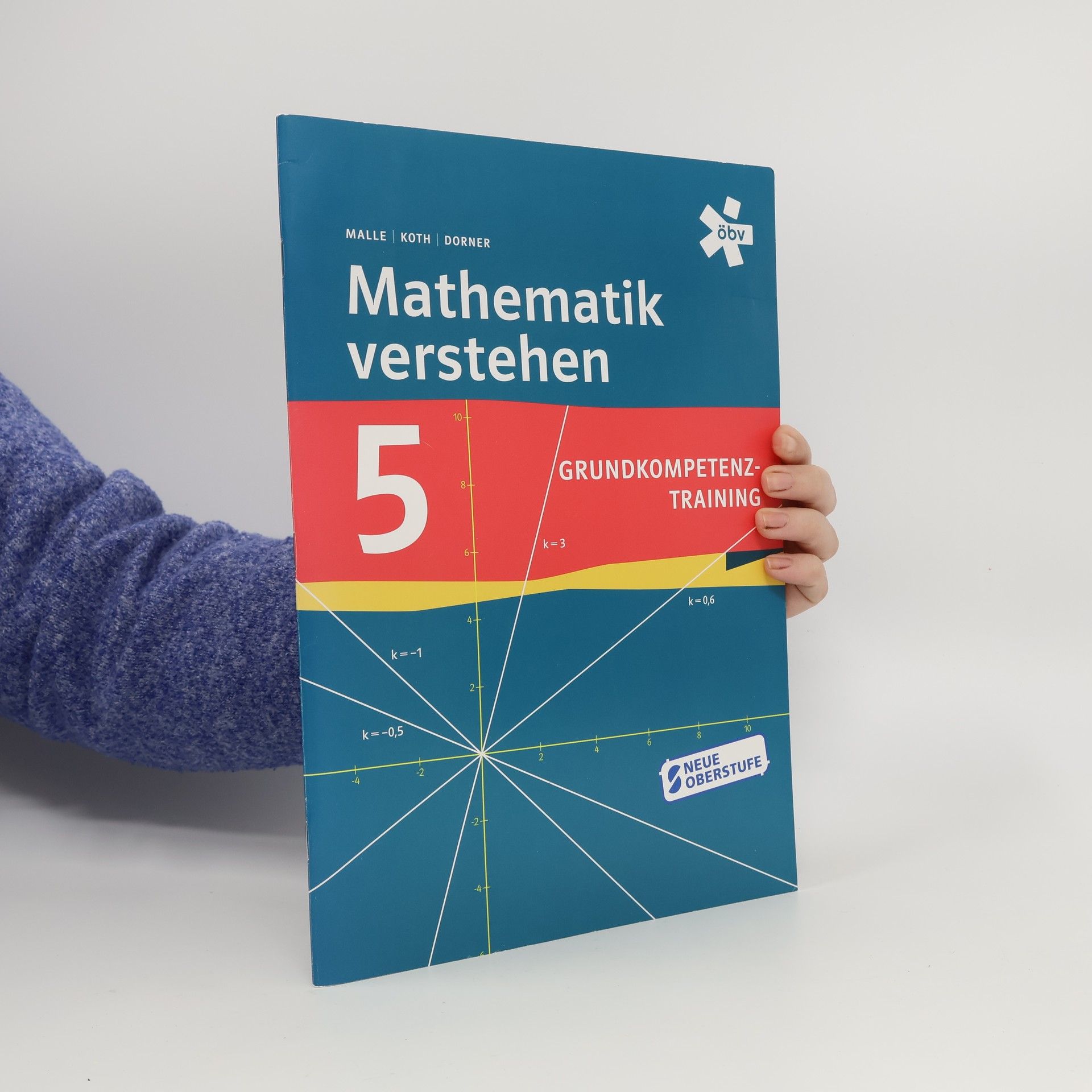 Günther Malle Mathematik verstehen