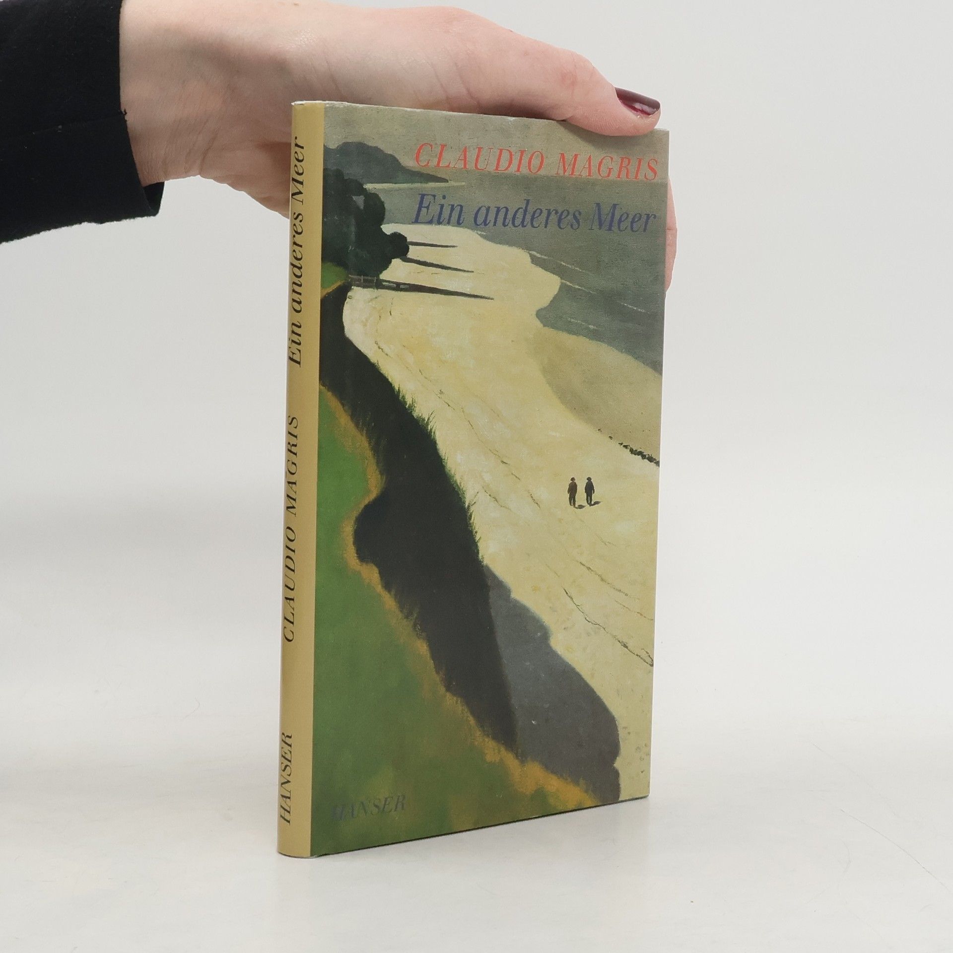 Claudio Magris Ein anderes Meer