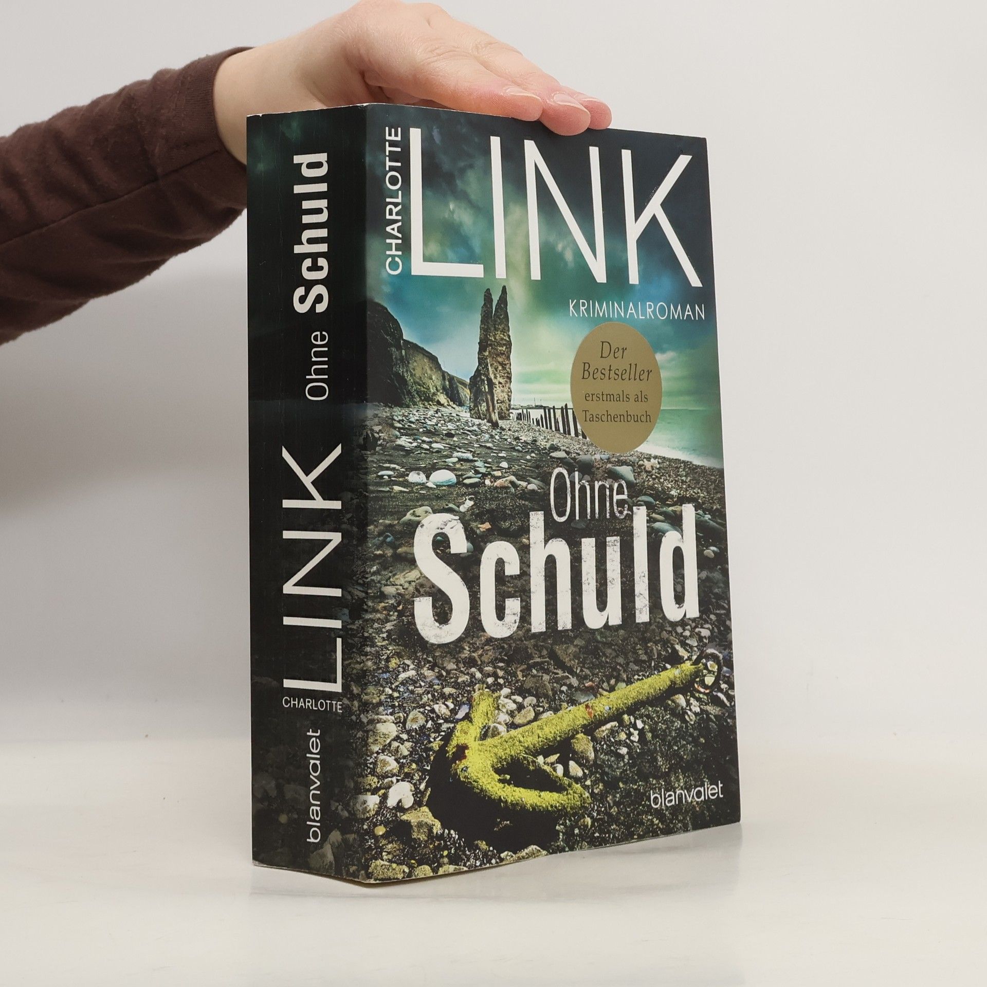 Charlotte Link Ohne Schuld