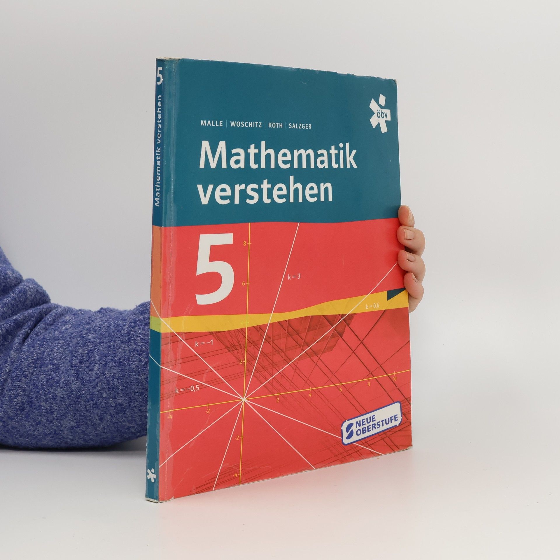 Günther Malle Mathematik verstehen 5