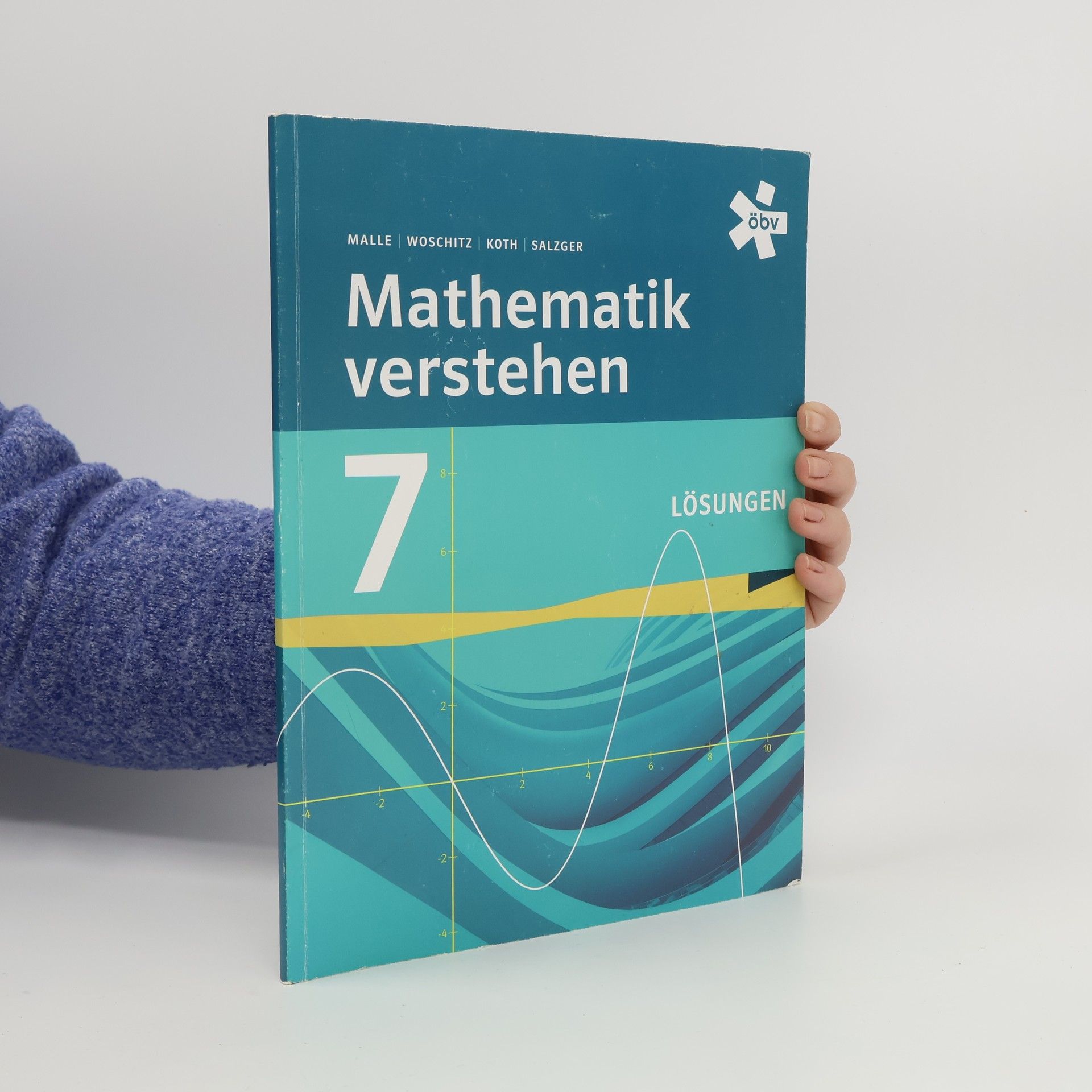 Mathematik verstehen 7