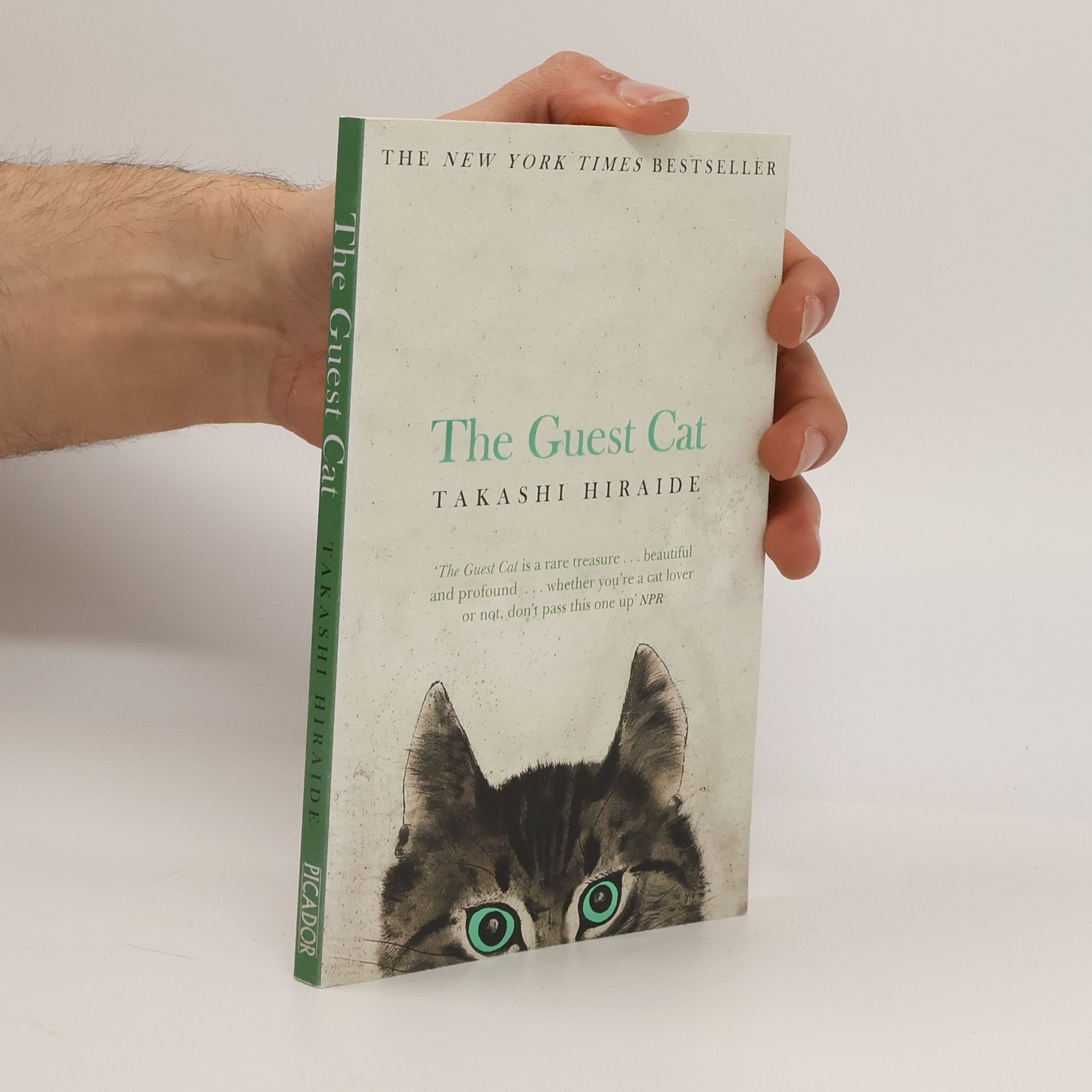 Takashi Hiraide The guest cat