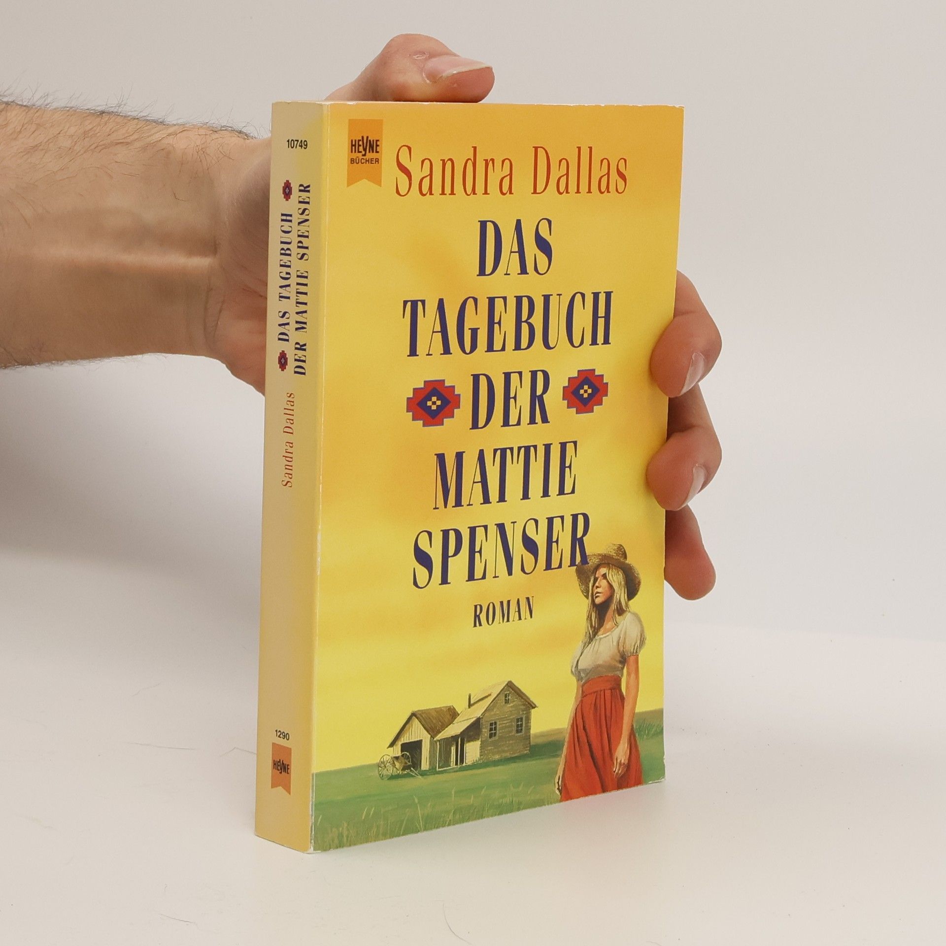 Das Tagebuch der Mattie Spenser