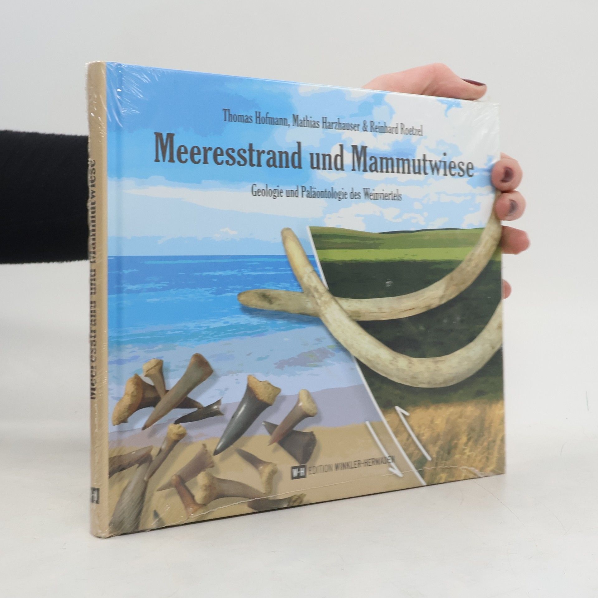 Thomas Hofmann Meeresstrand und Mammutwiese