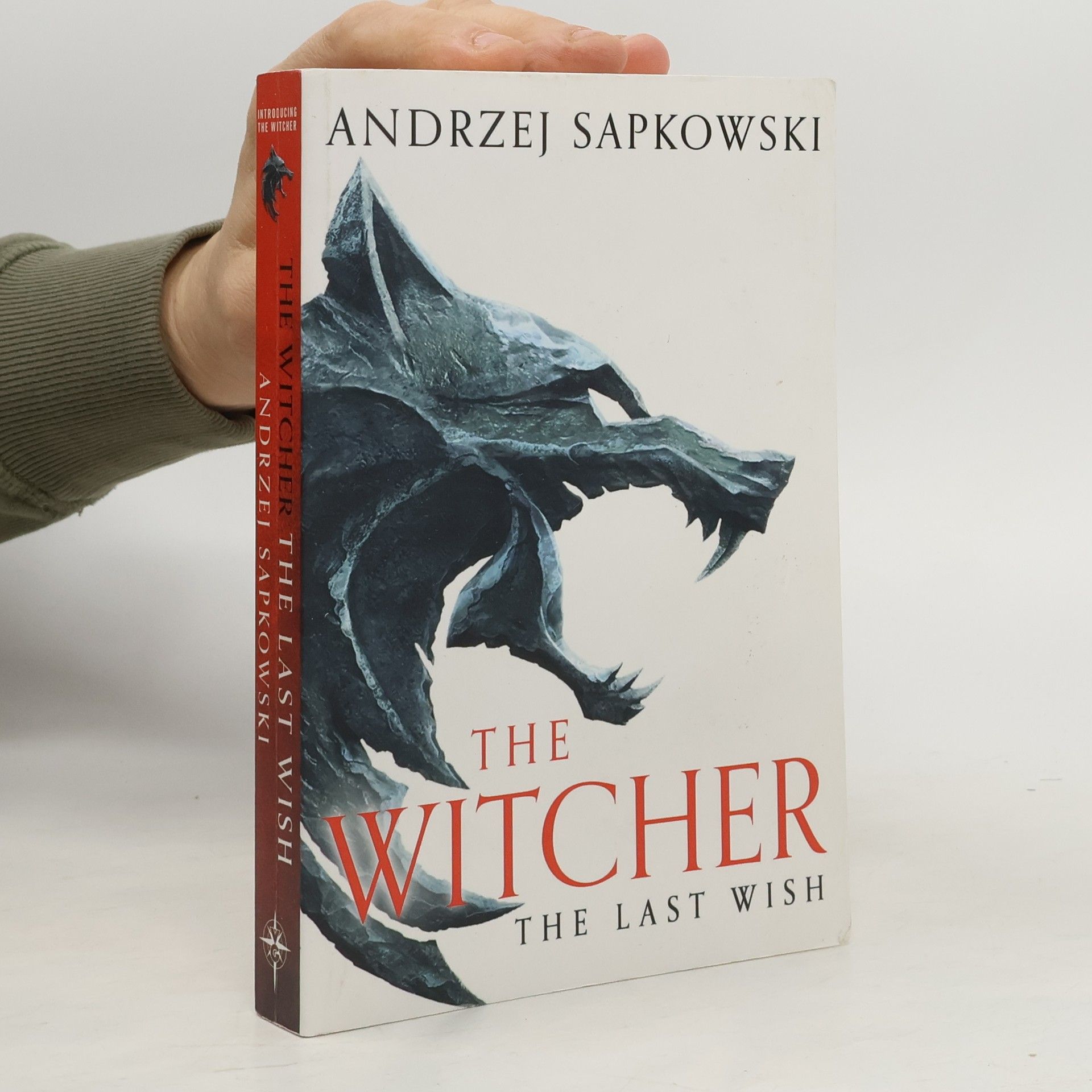 Andrzej Sapkowski The Witcher. The Last Wish