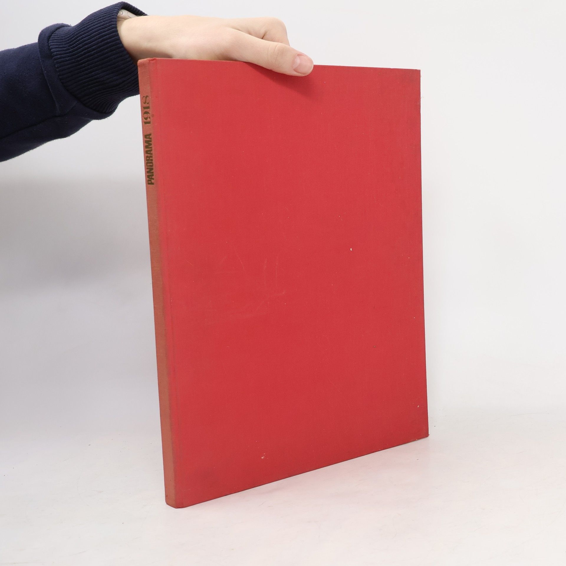 Kolektiv autorů Panorama 1918