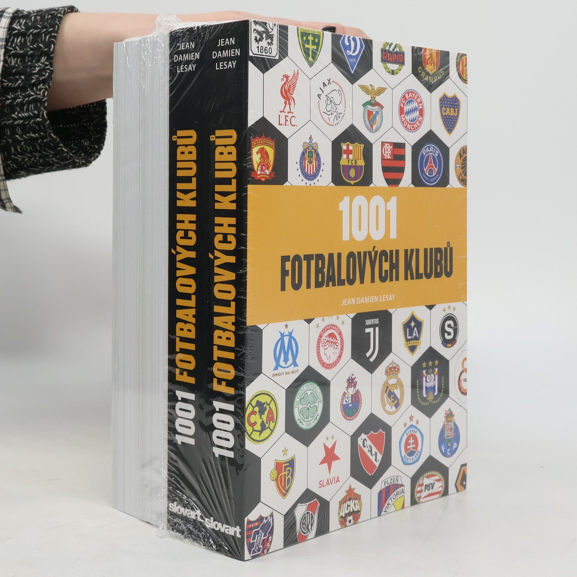 Jean Damien Lesay 1001 fotbalových klubů