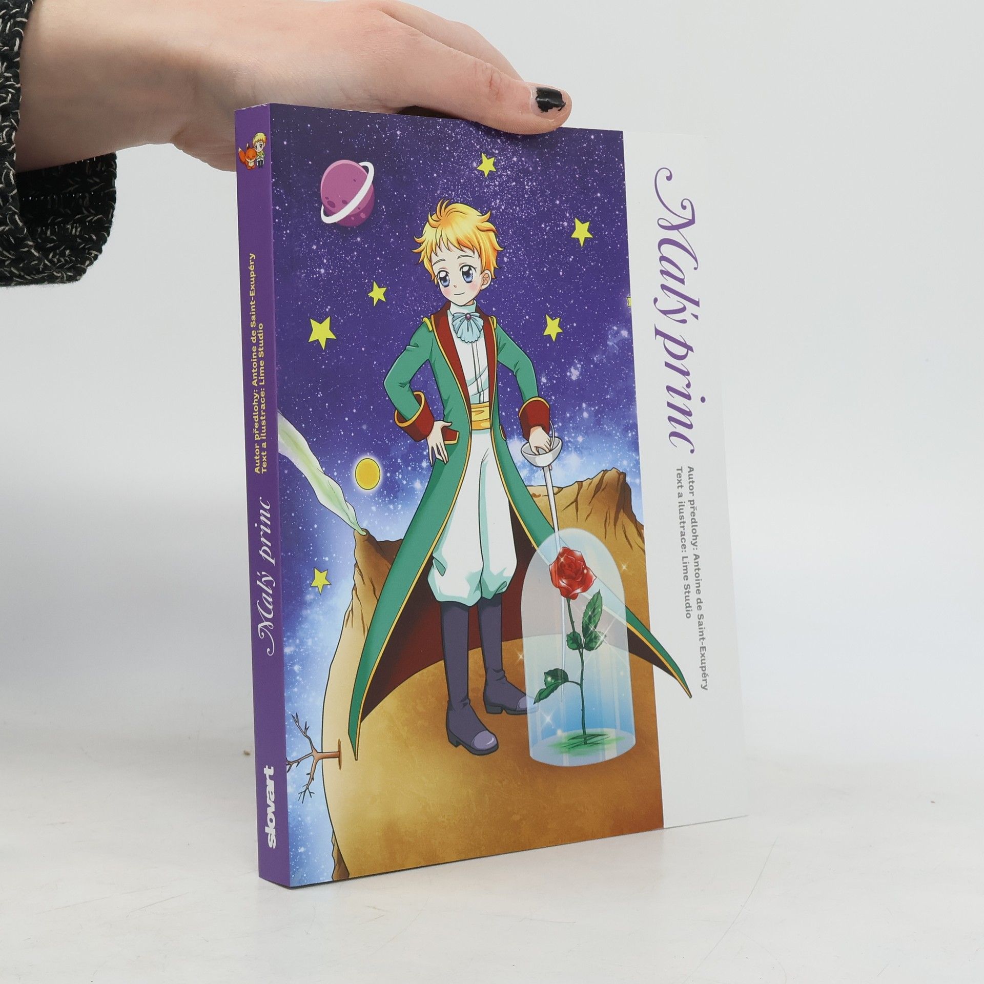 Vladislava Mazaná Malý princ