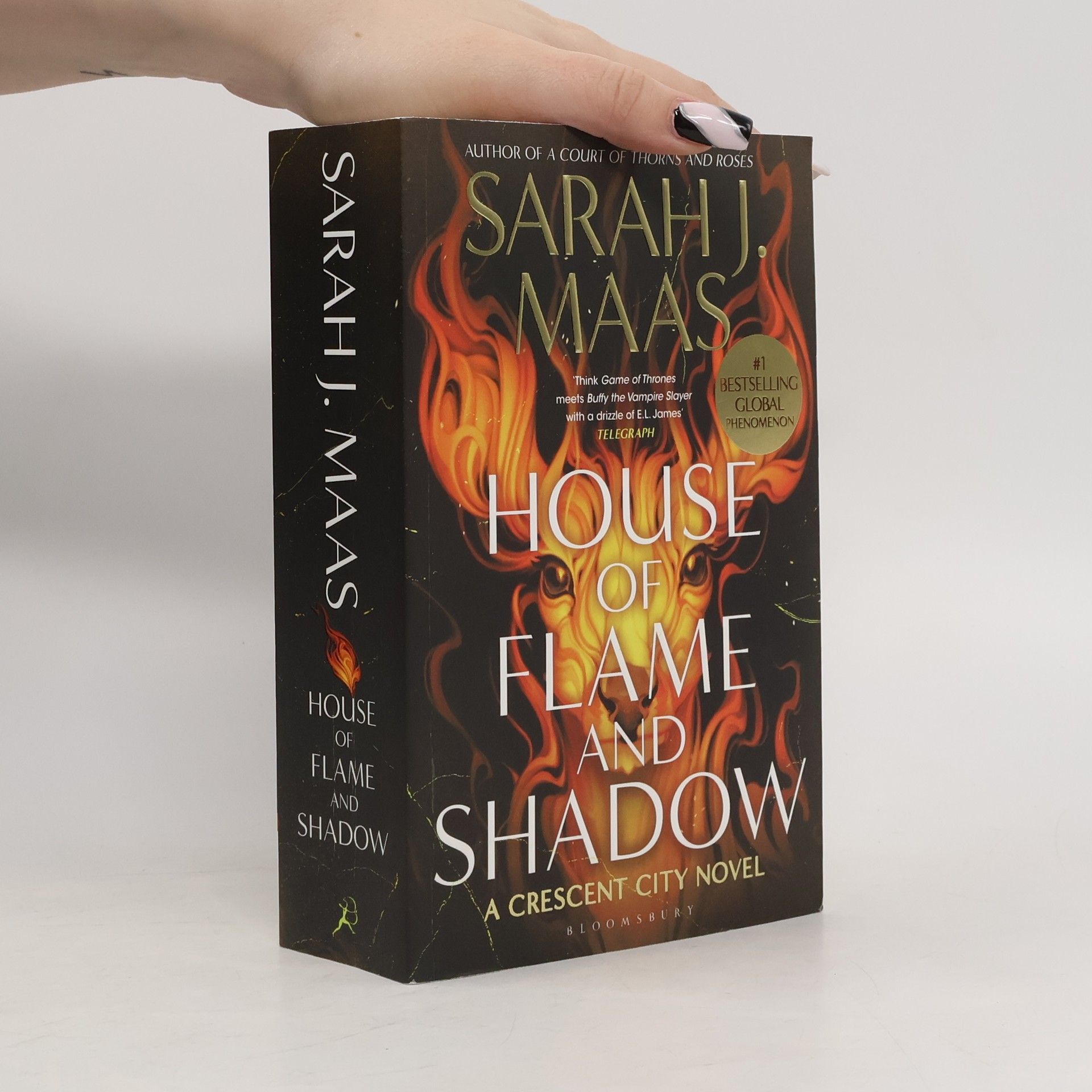 Sarah J. Maas Crescent City - 3: House of Flame and Shadow
