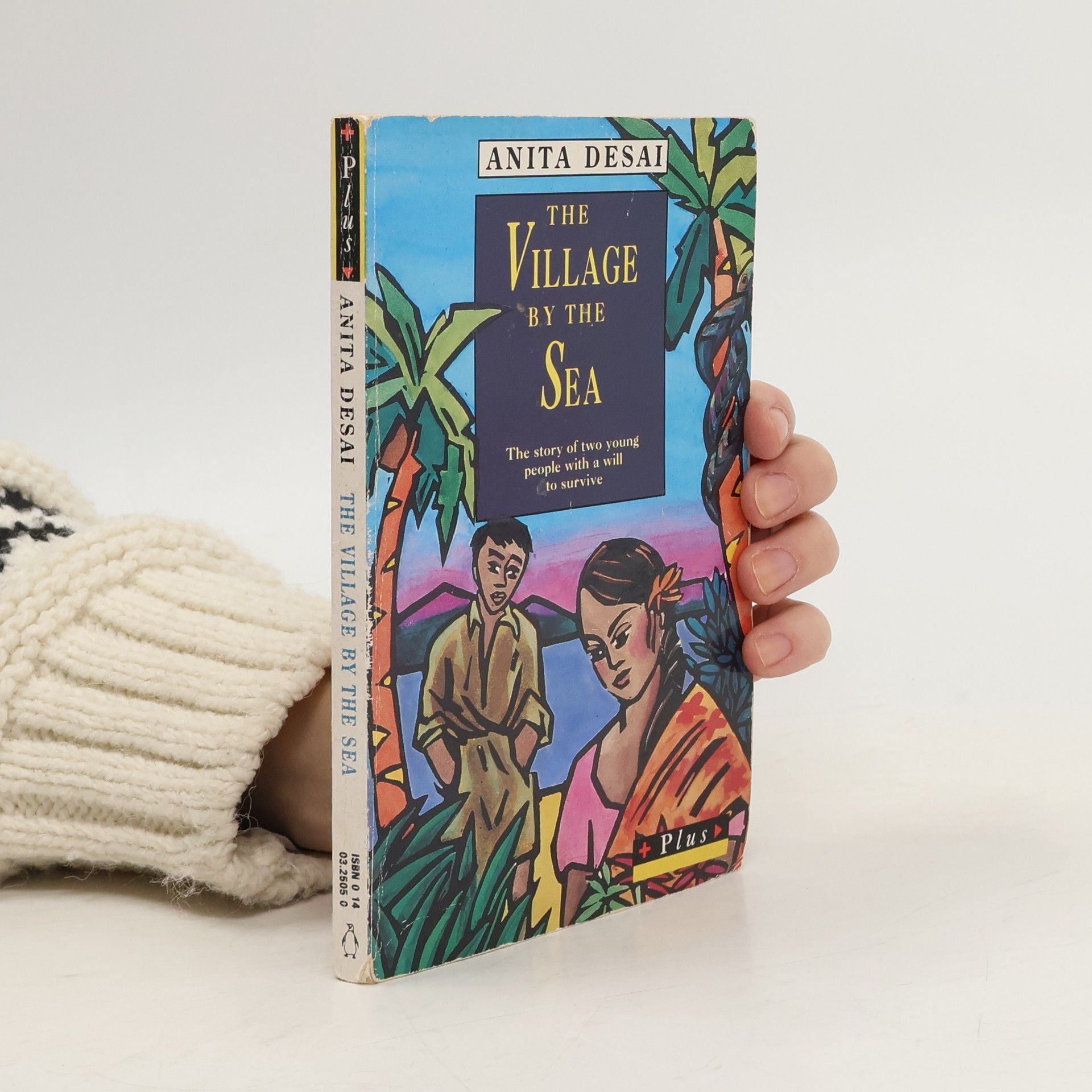 Anita Desai Village By The Sea