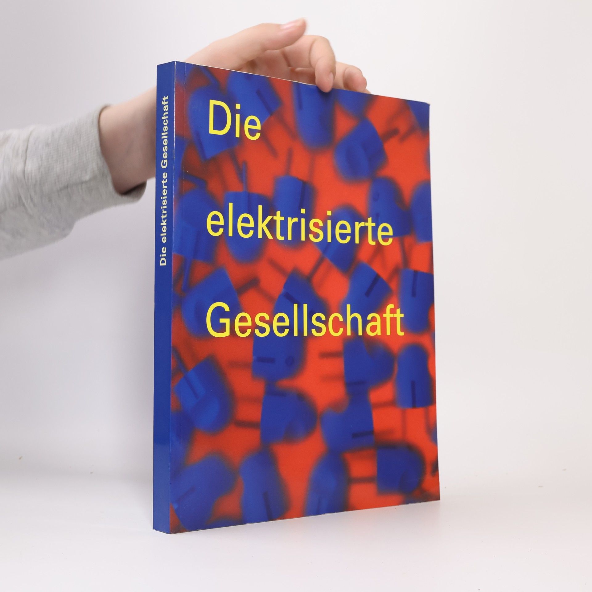 Gisela Grasmück Die elektrisierte Gesellschaft