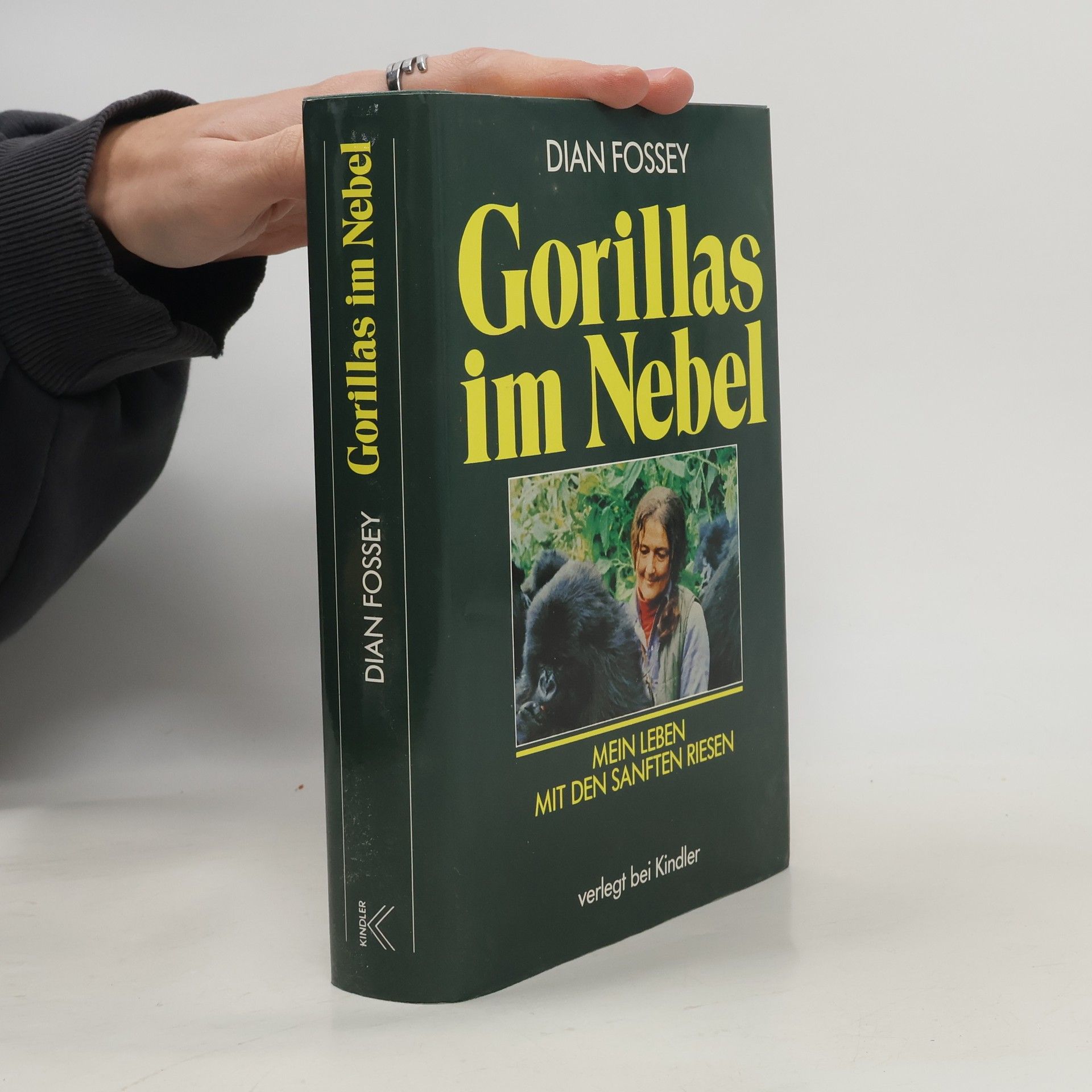 Dian Fossey Gorillas im Nebel