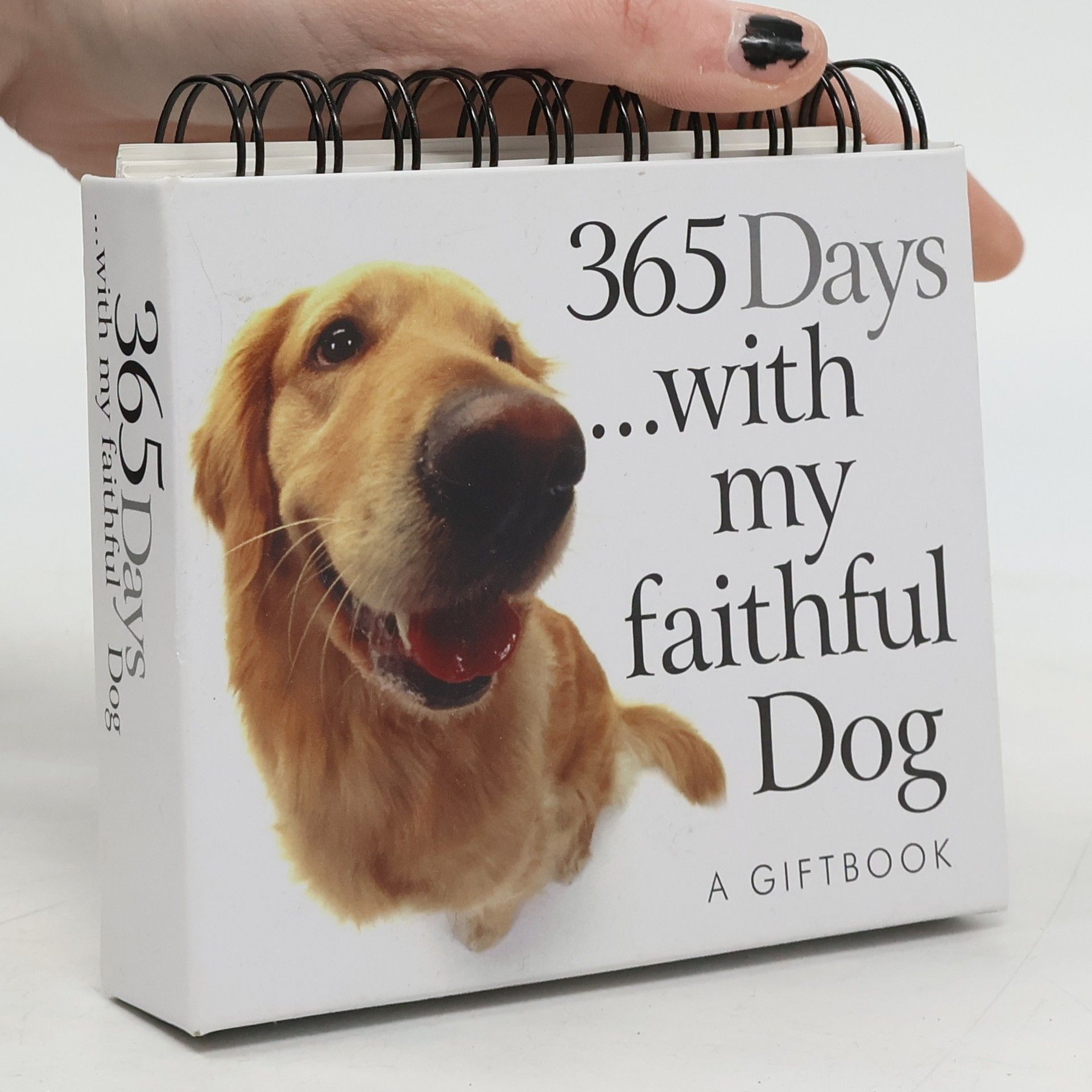 Various authors 365 Days with My Faithful Dog