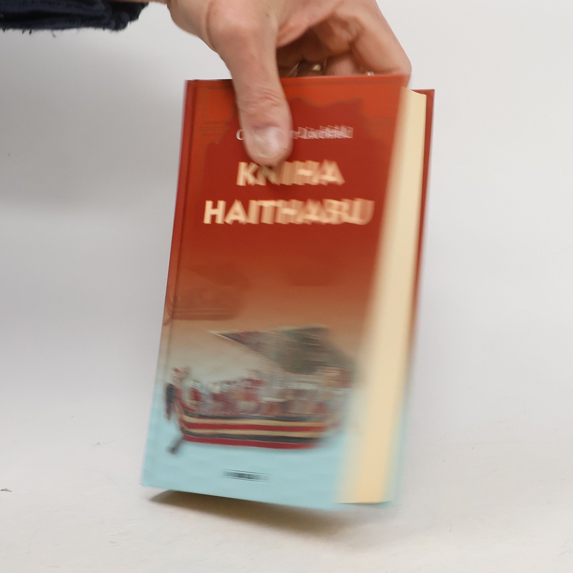 Claus-Peter Lieckfeld Kniha Haithabu