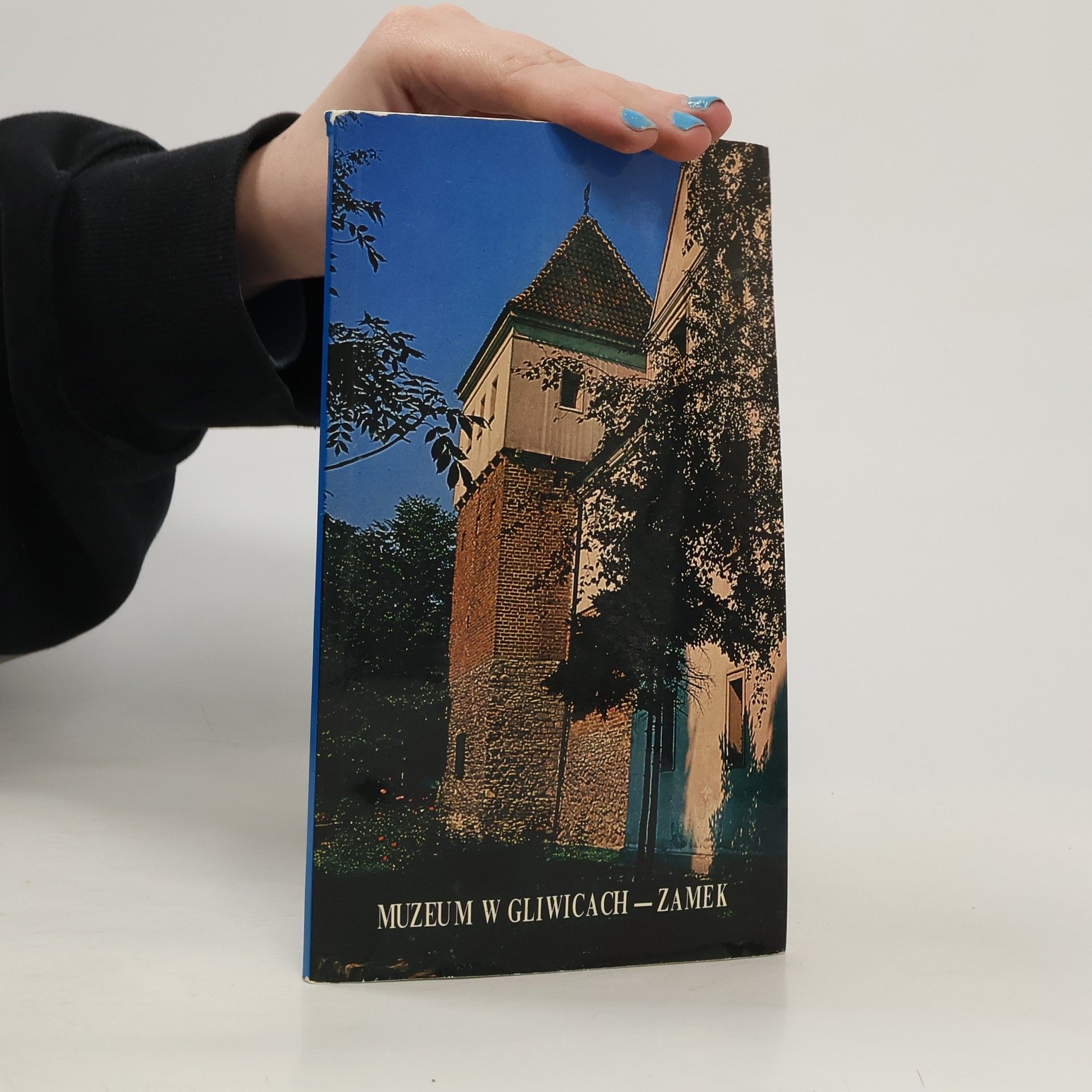 Grażyna Kiliańska-Przybyło Muzeum w Gliwicach - Zamek