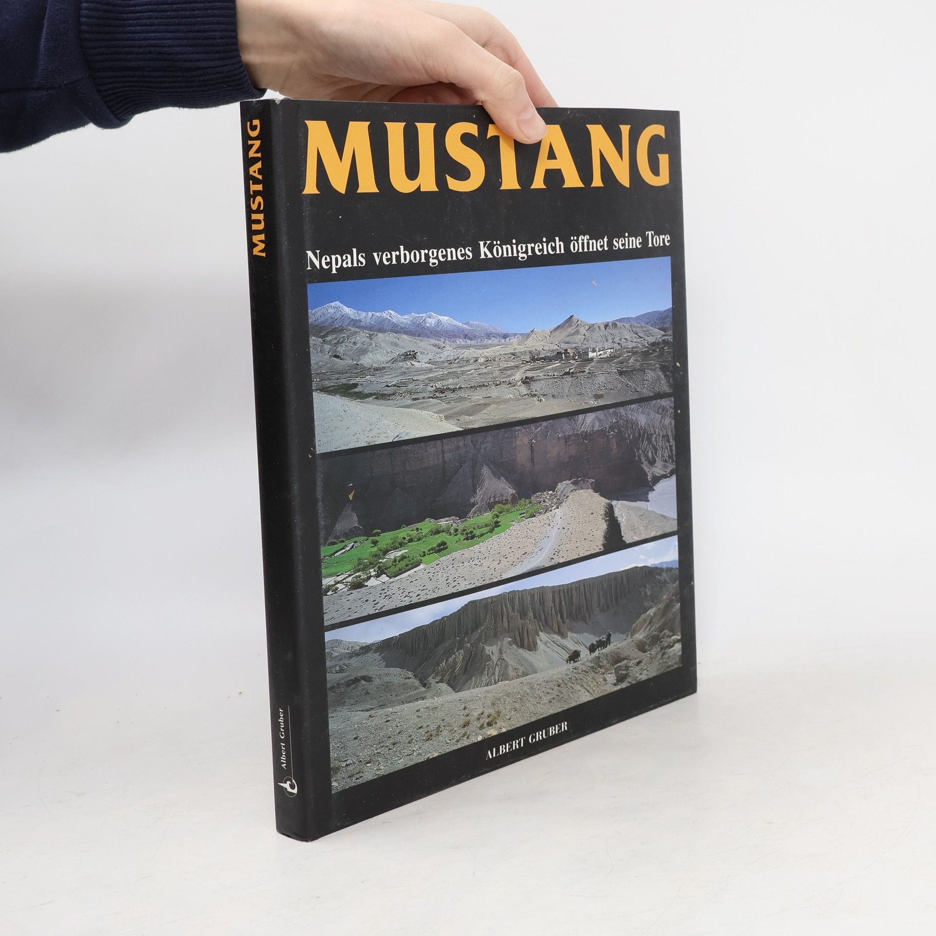 Albert Gruber Mustang